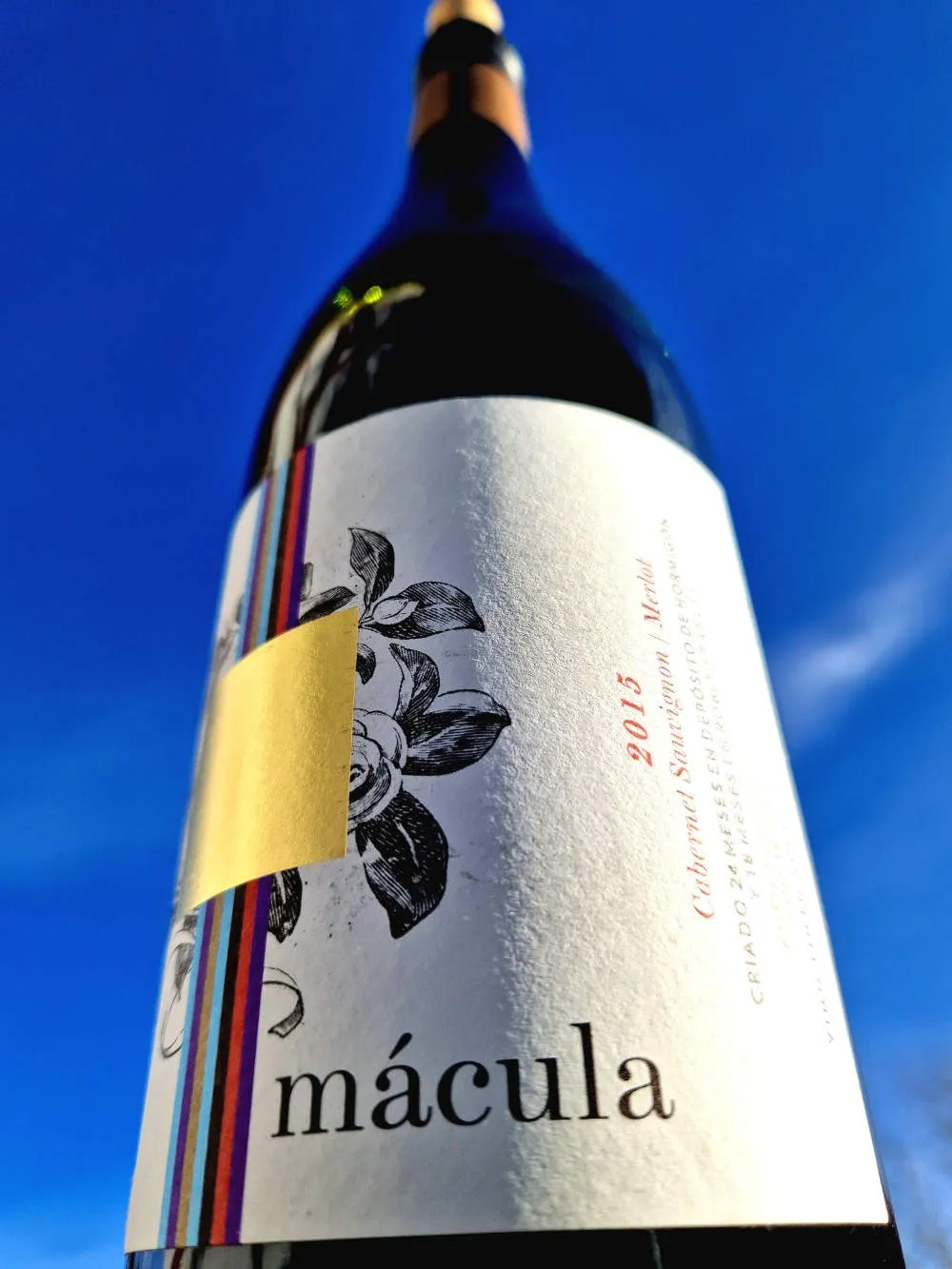 Rotweinflasche der Bodega Tandem vor sonnigem blauen Himmel