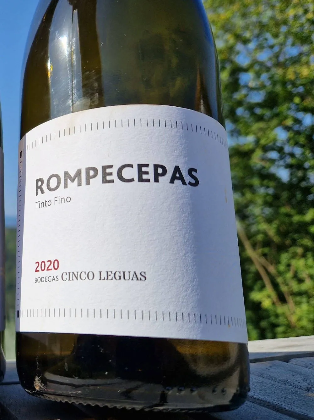 Eine Flasche Tinto Fino aus Madrid auf einem Tisch