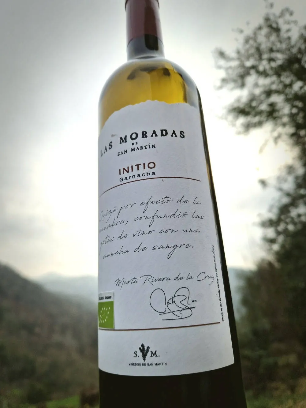 Rotwein aus Garnacha Tinta aus Madrid