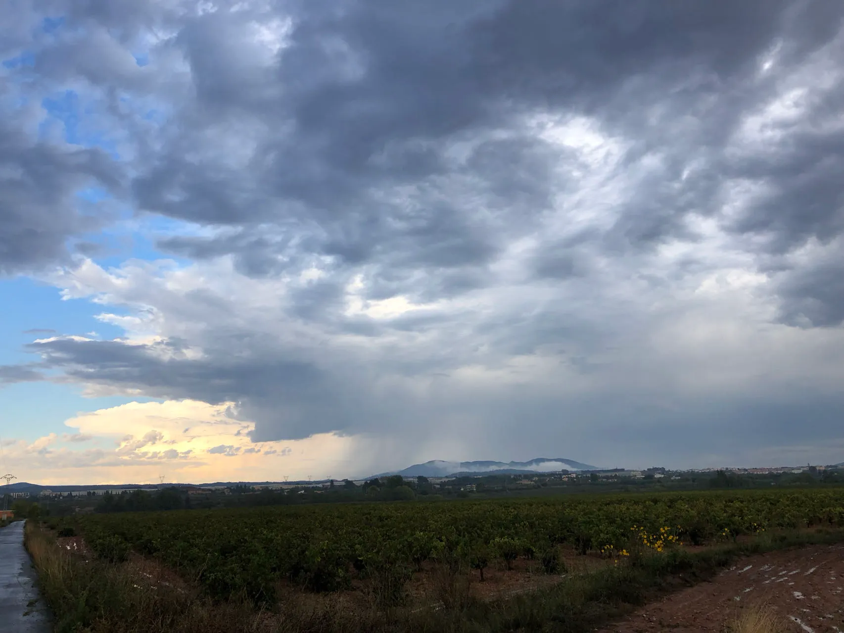 Jeder Jahrgang ein Abenteuer