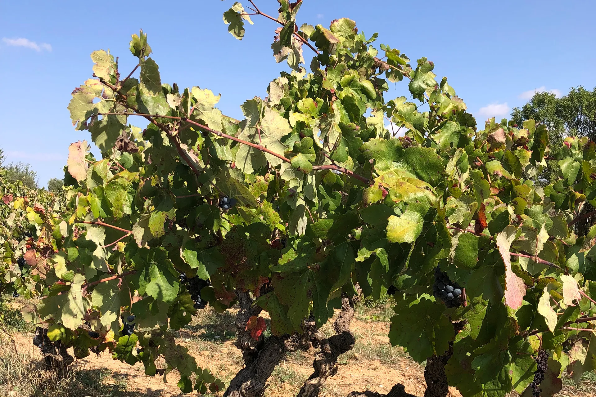 Altbewährte Methode