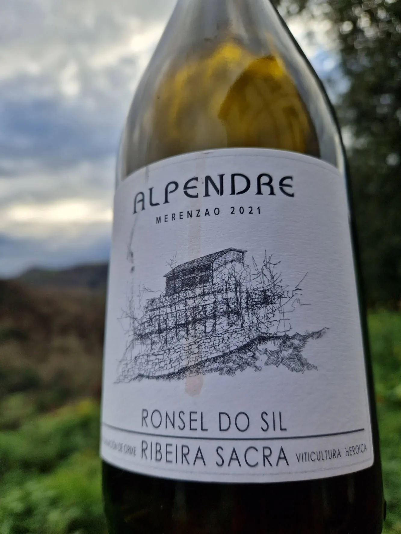 Ein Flasche Rotwein aus Galicien