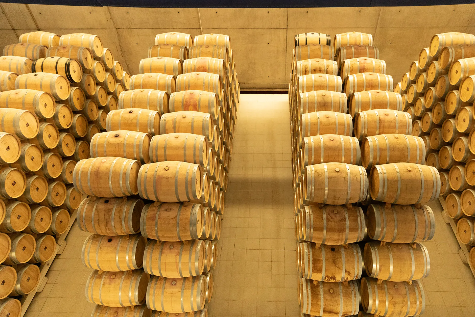 Fasskeller Weinkeller Rioja