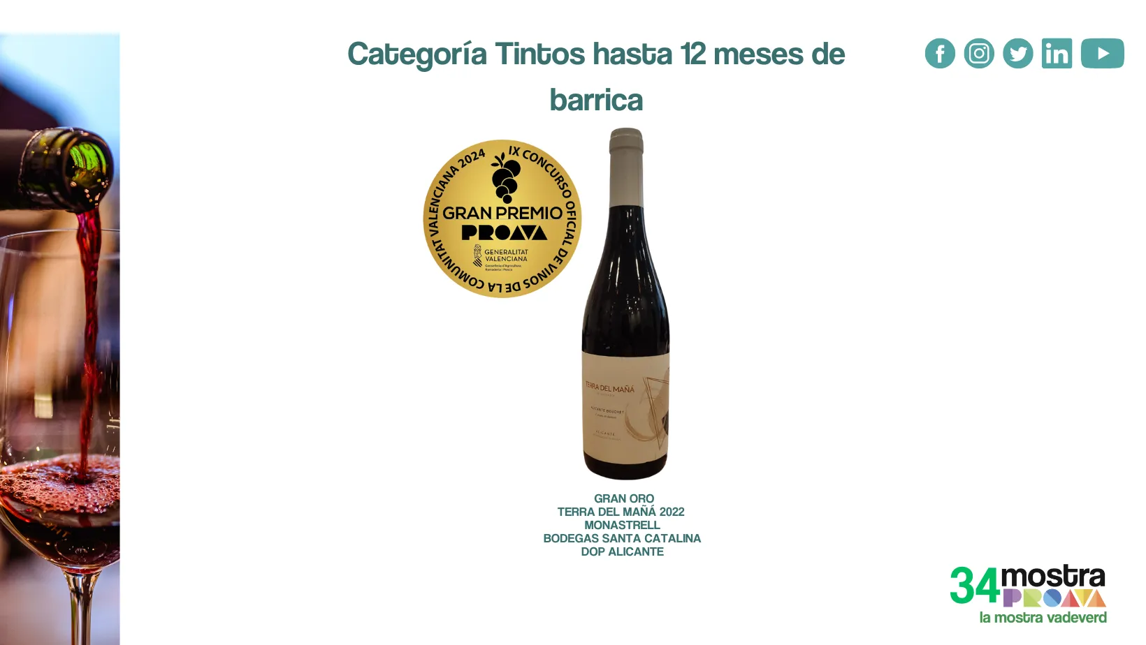 Weinflaschen des best ausgezeichneten Rotweines in der Comunidad Valencia