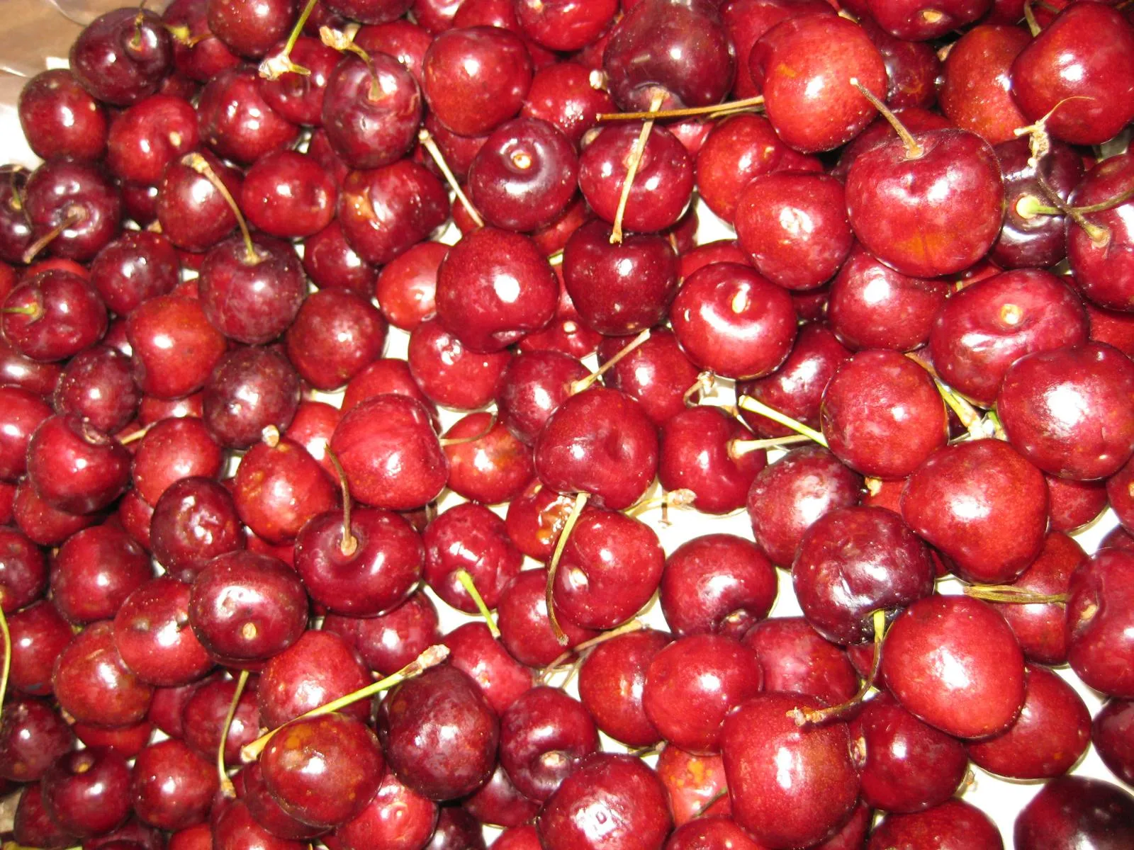 Viele rote Kirschen