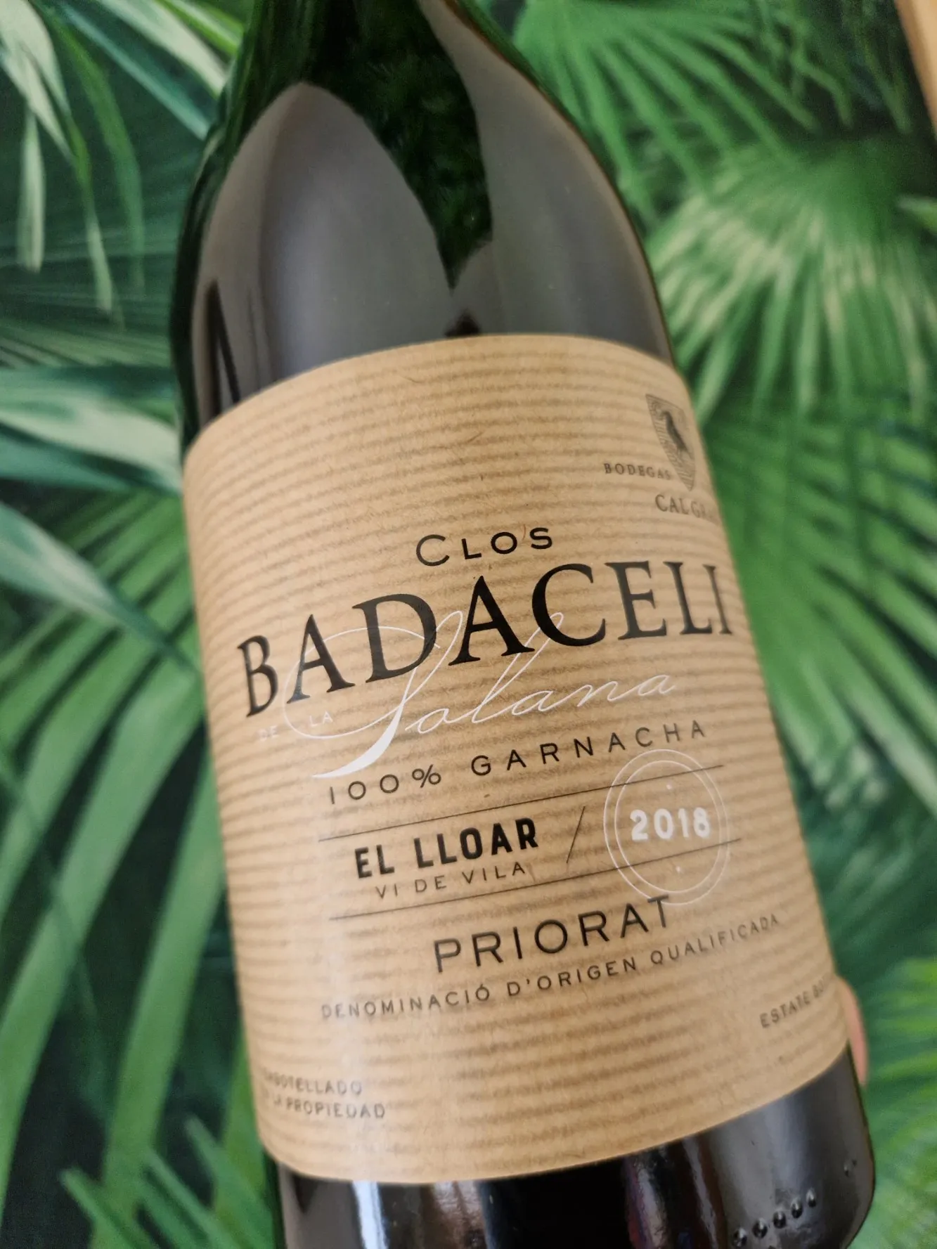 Eine Flasche Rotwein vor einer Pflanzentapete