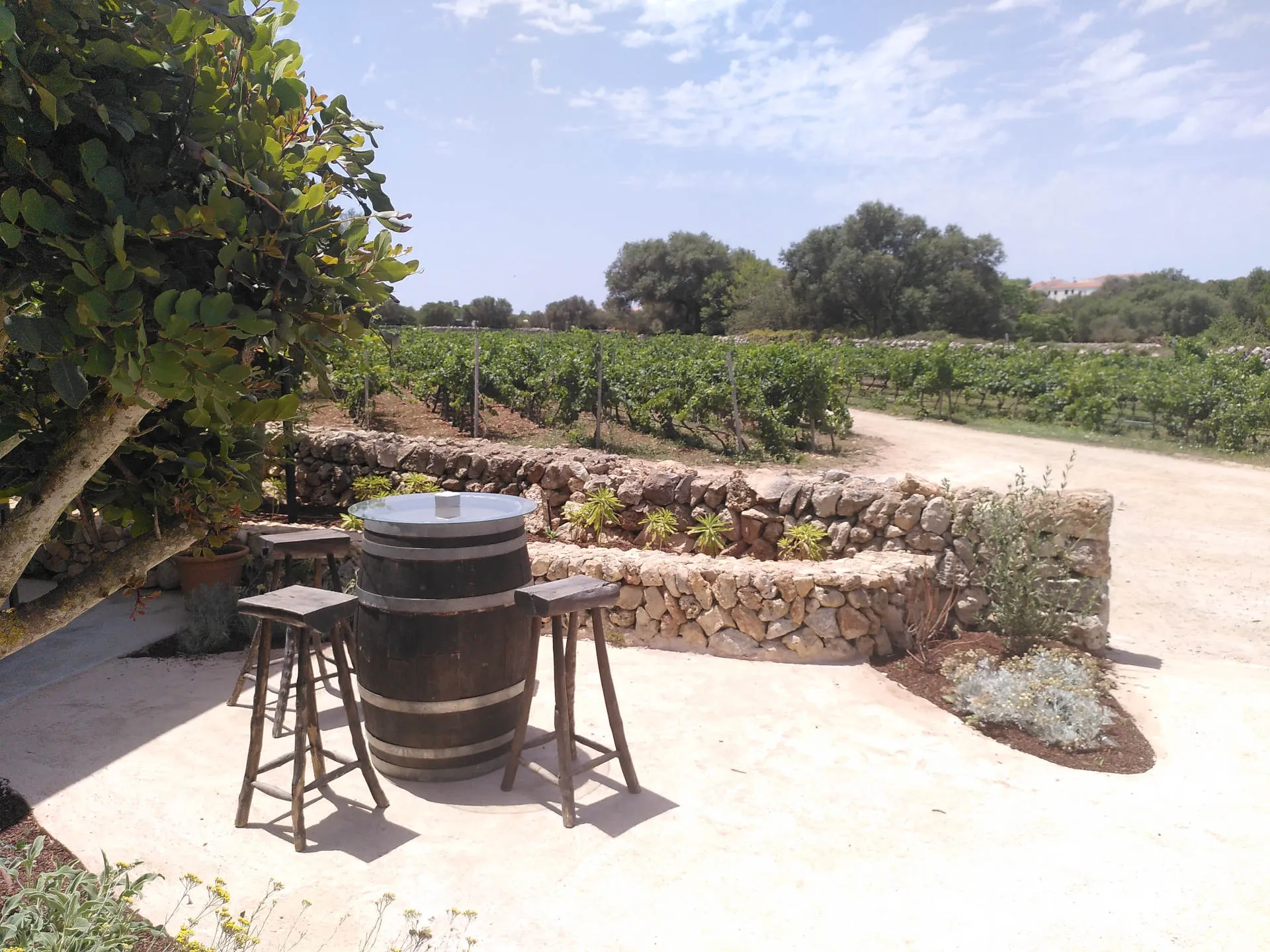 Terrasse mit Blick auf Natursteinmauern und Weinreben