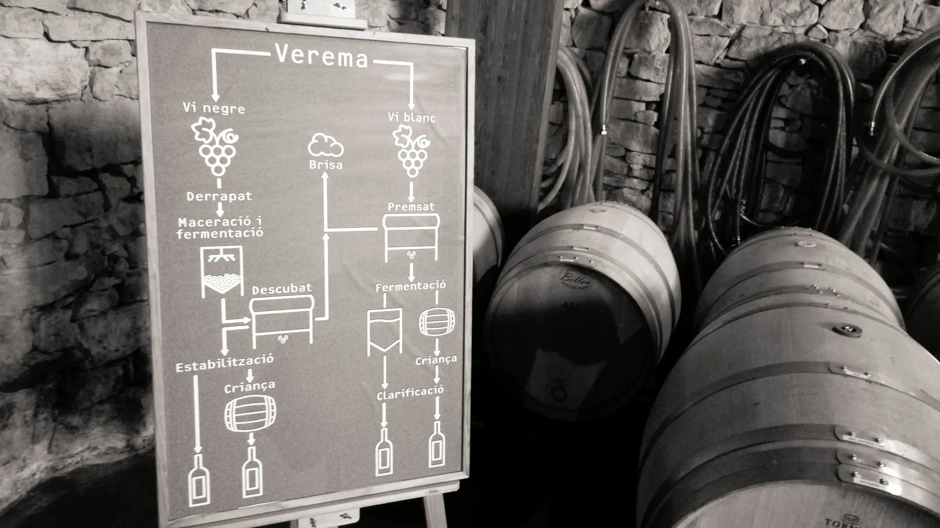 Schild mit den Schritten der Weinherstellung