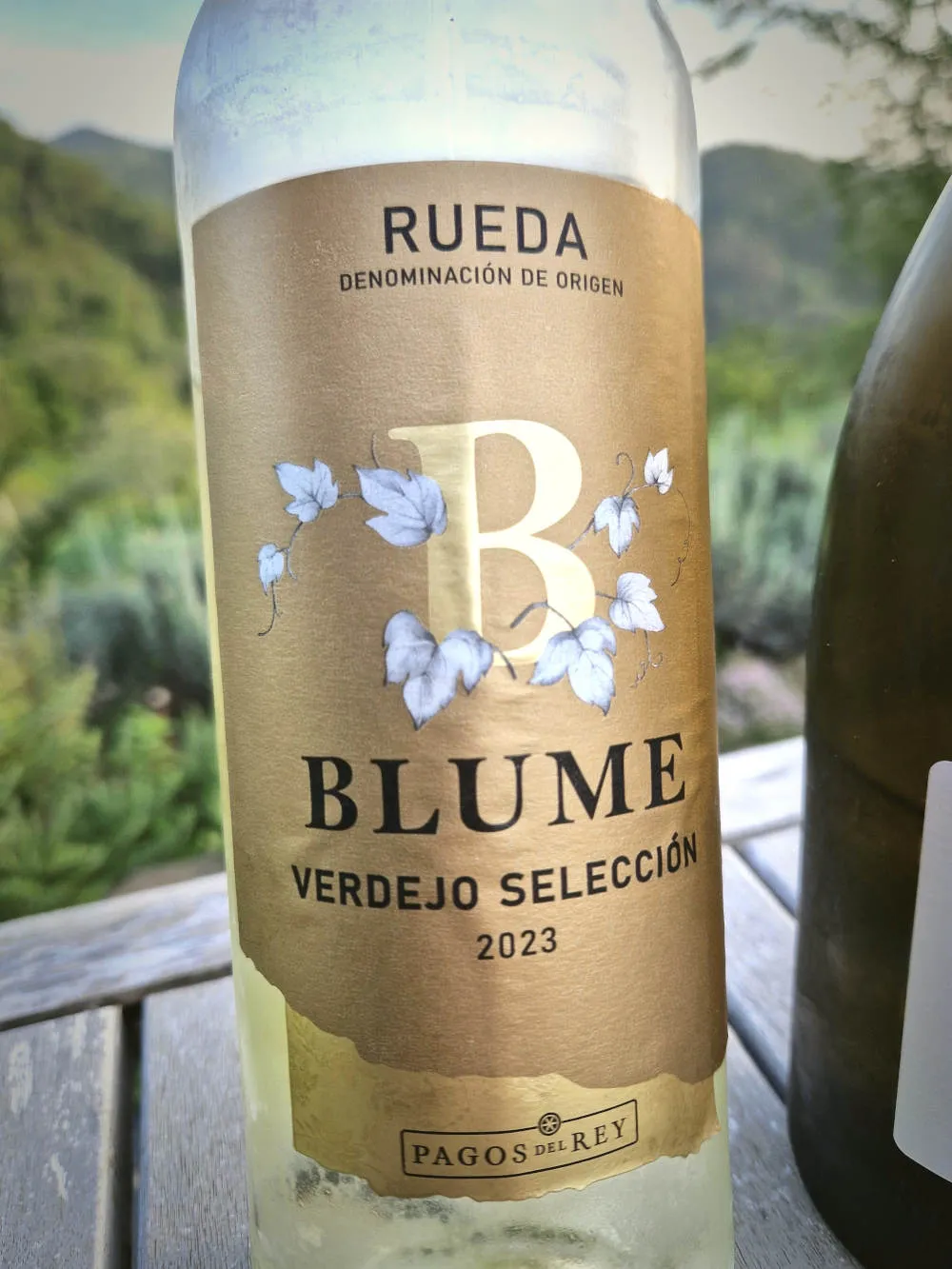 Eine Flasche Weißwein auf einem Terrassentisch