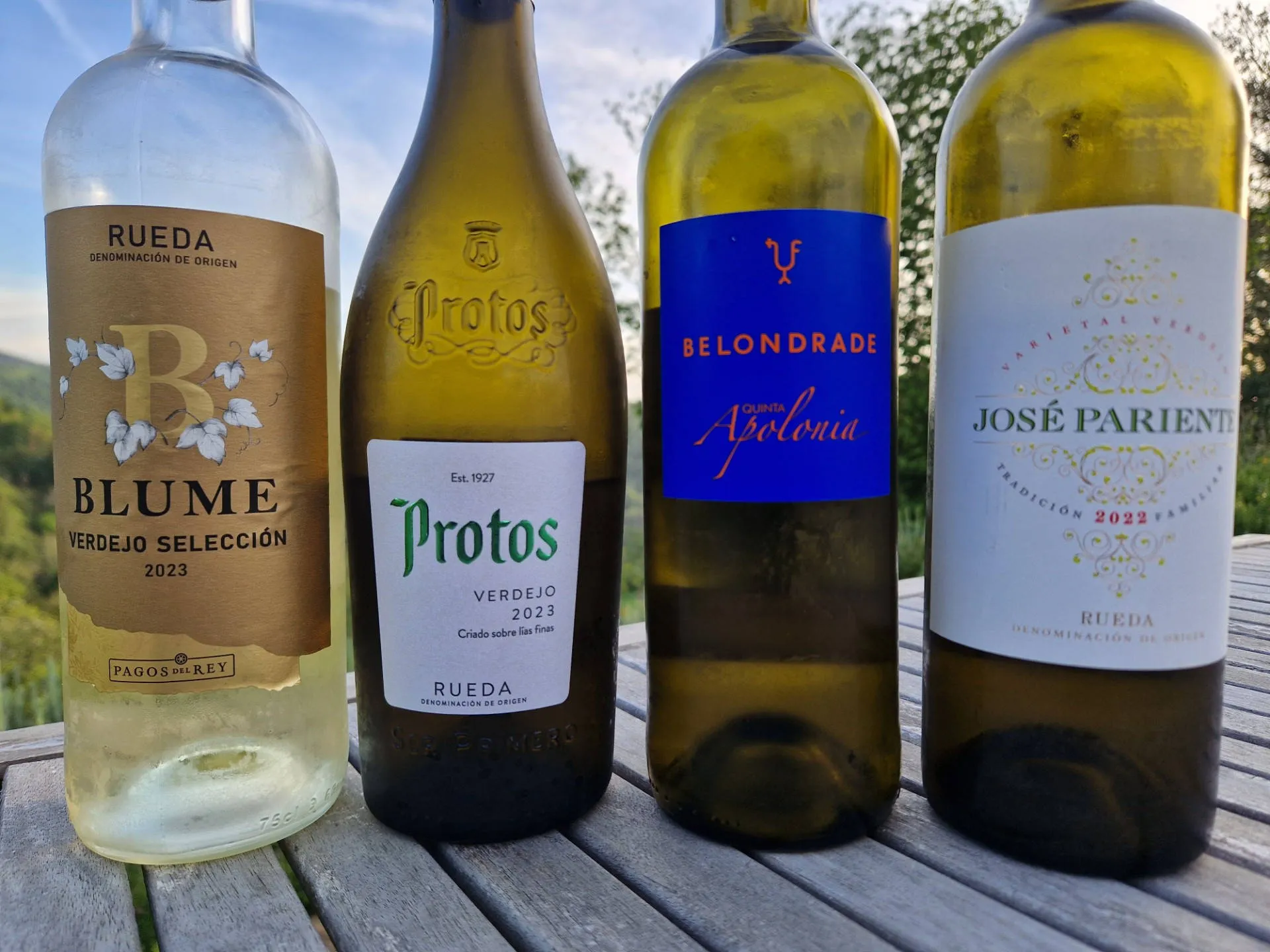 4 verschiedene Verdejo Weine aus Spanien
