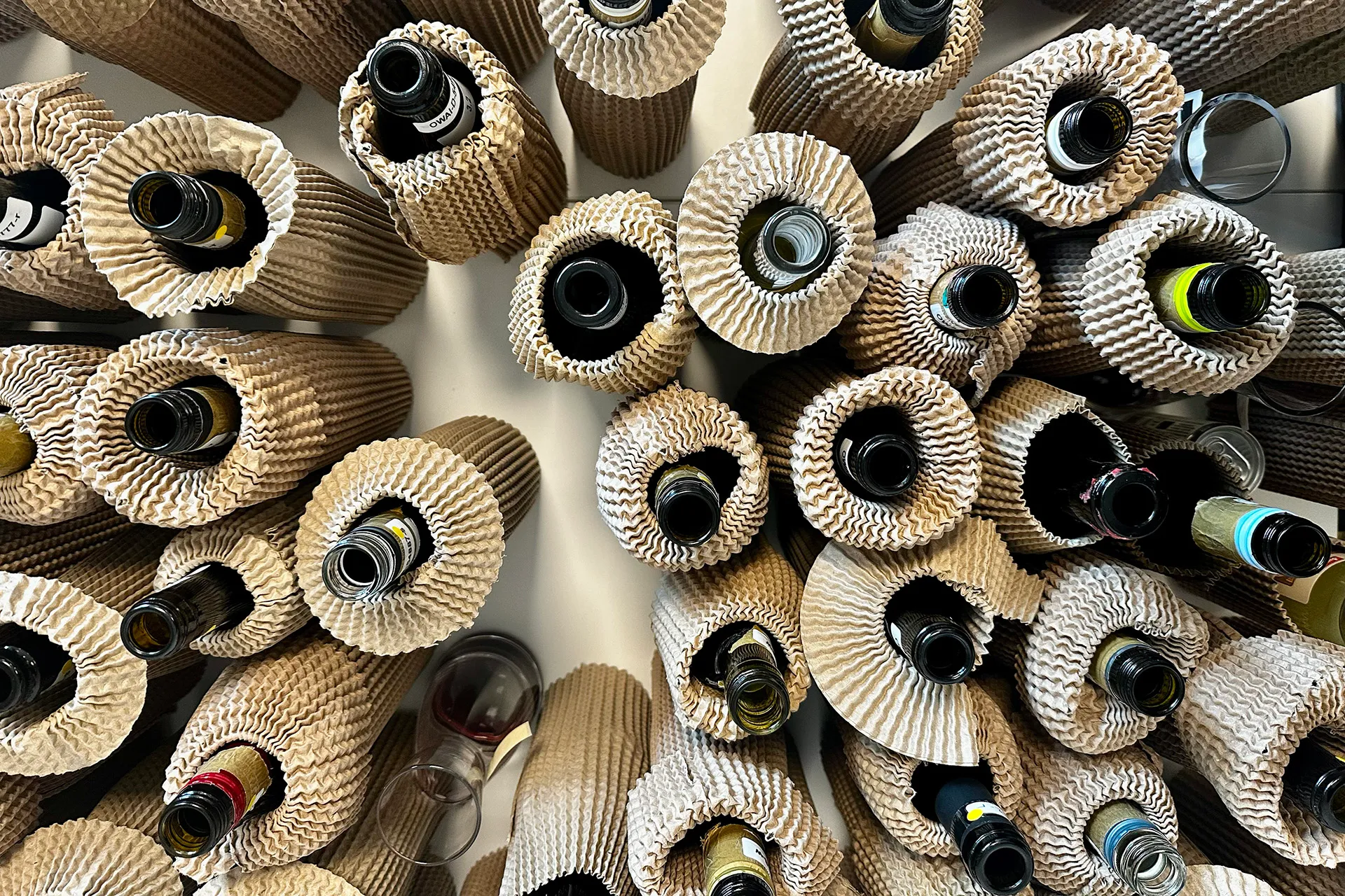 Bioweine aus Spanien sichern sich acht mal Grand Gold