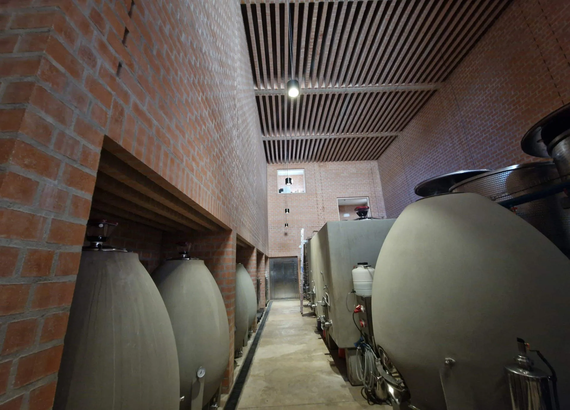 Blick auf Betonfässer und Betoneier in einem Weingutskeller