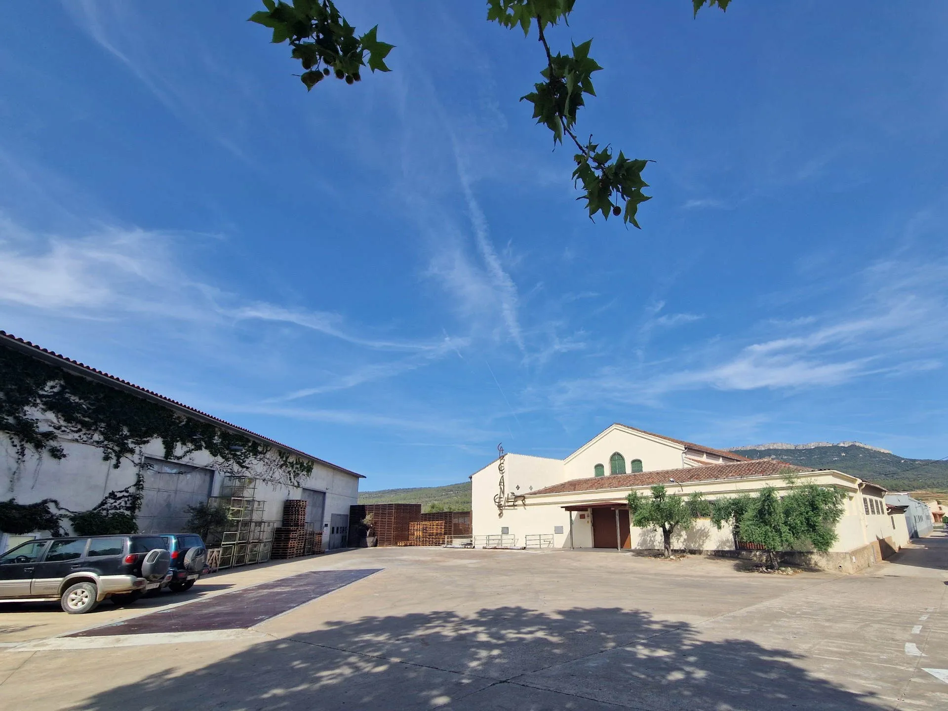 Blick auf die Gebäude der Kooperative Celler de Capçanes