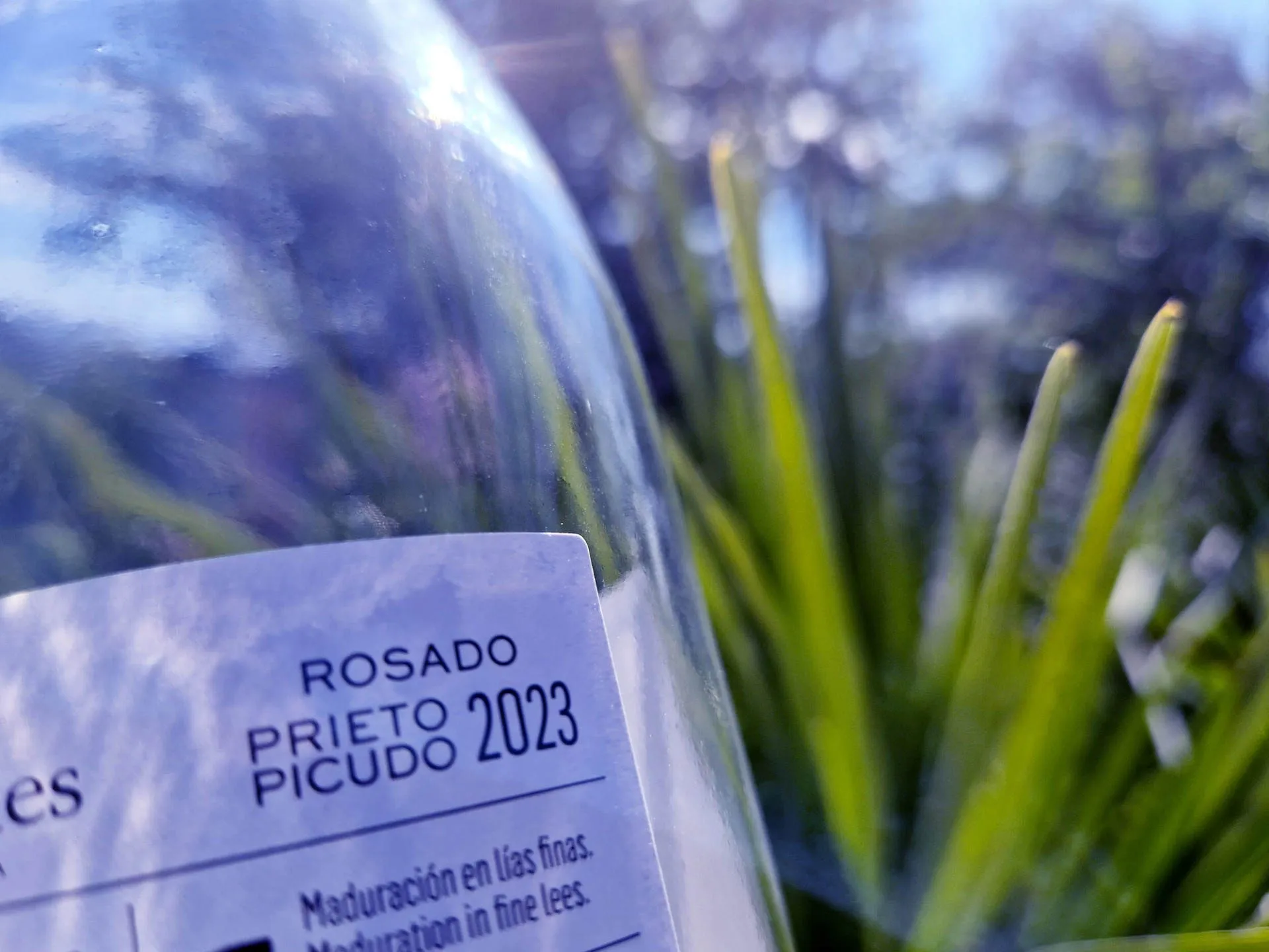 Bild eines Etiketts einer Weinflasche