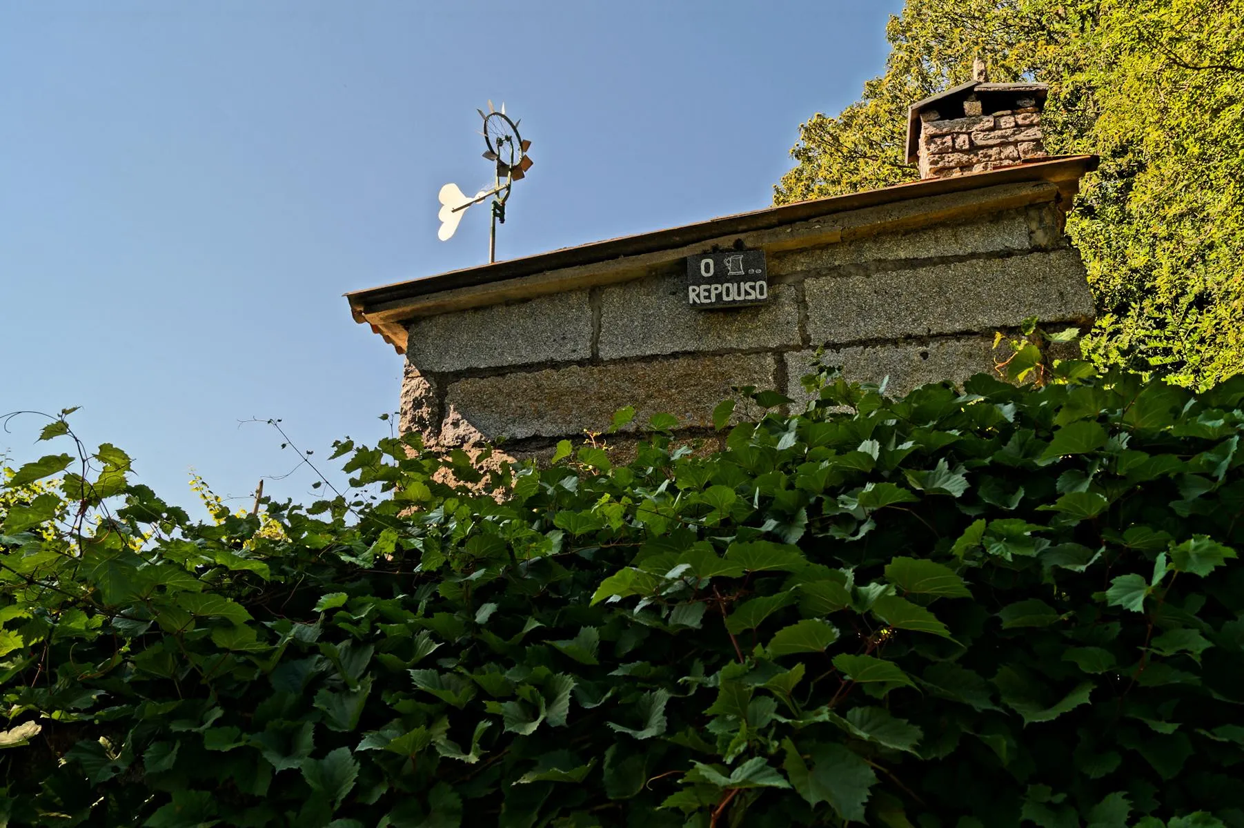 Weinbergshütte im Ribeiro-Gebiet.