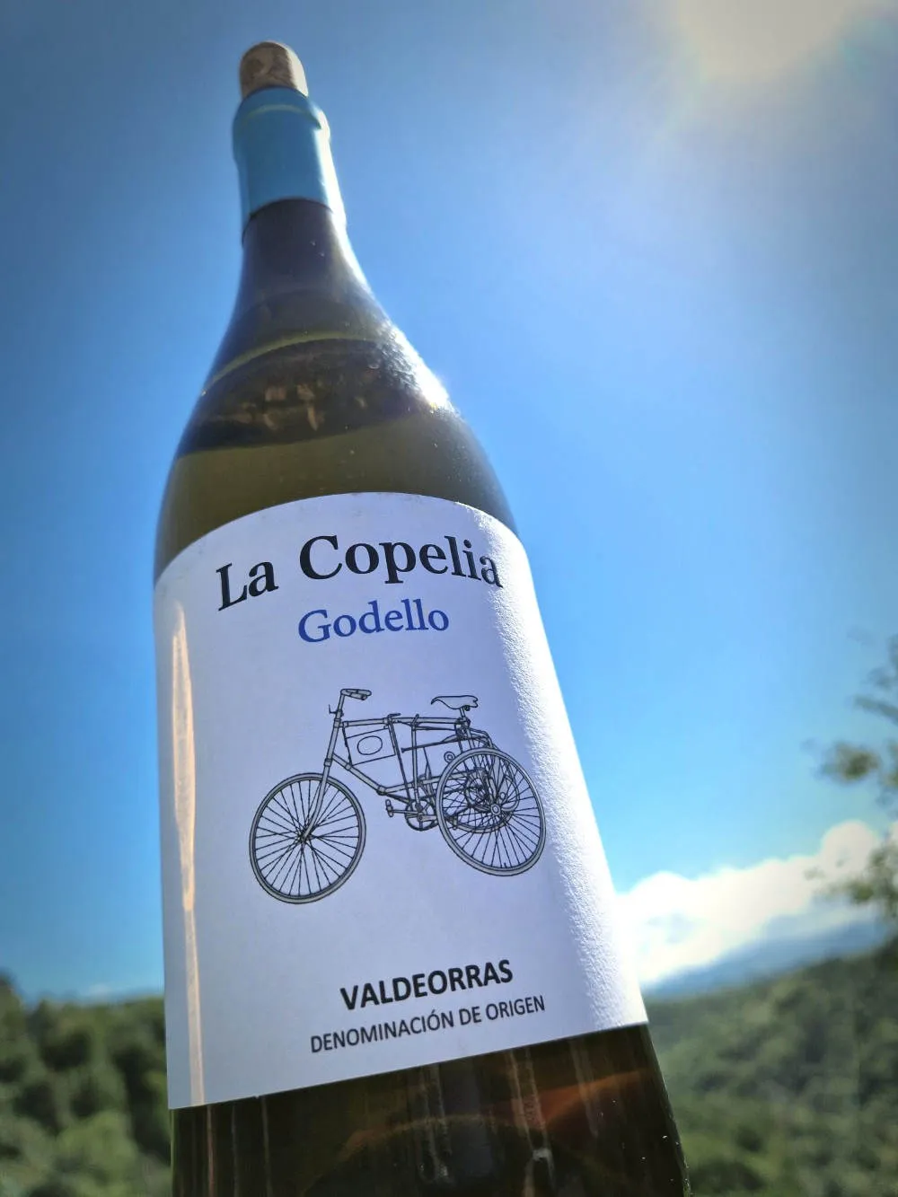 Eine Flasche Wein auf der Terrasse