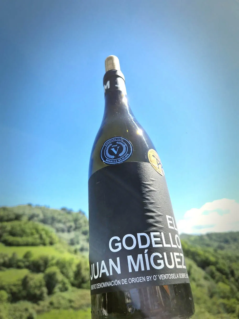 Eine Flasche Wein, im Hintergrund ein grüner, bewaldeter Hügel.