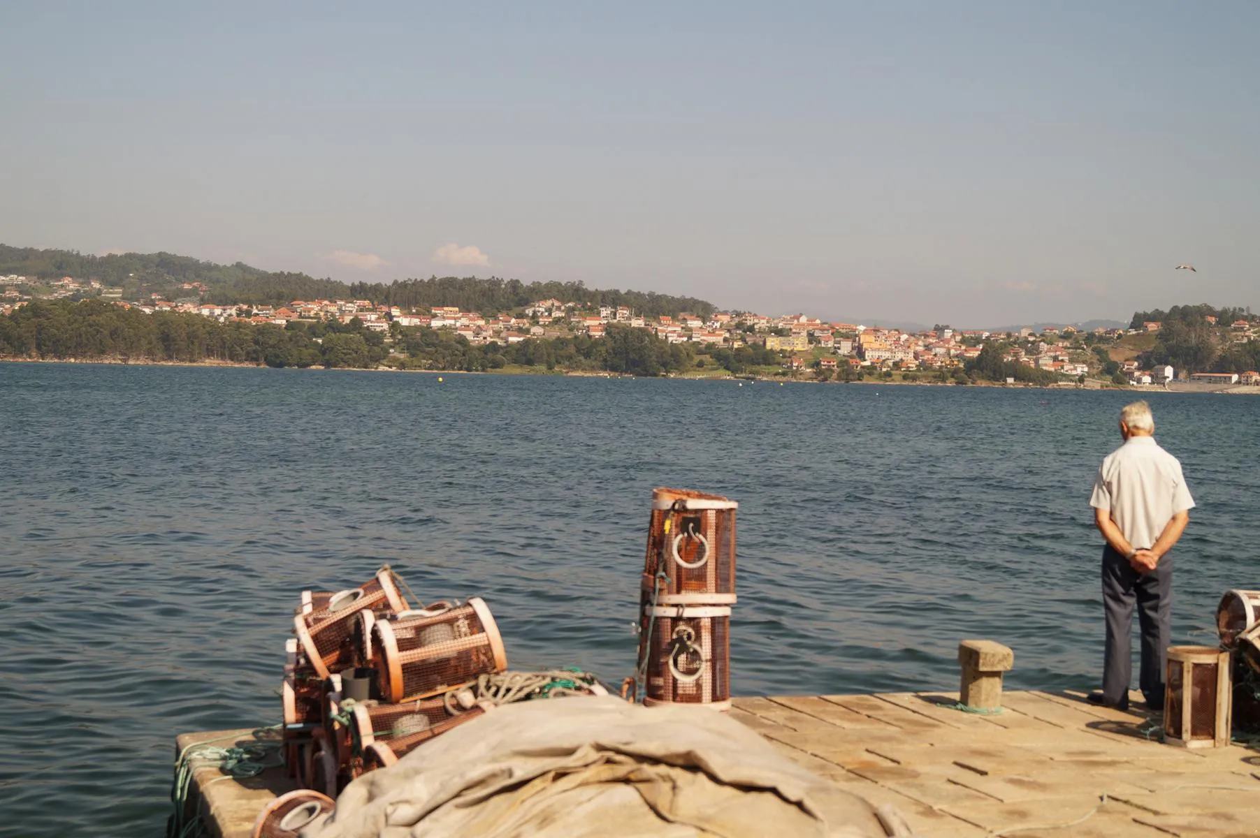 Mann blickt auf Ria von Pontevedra.