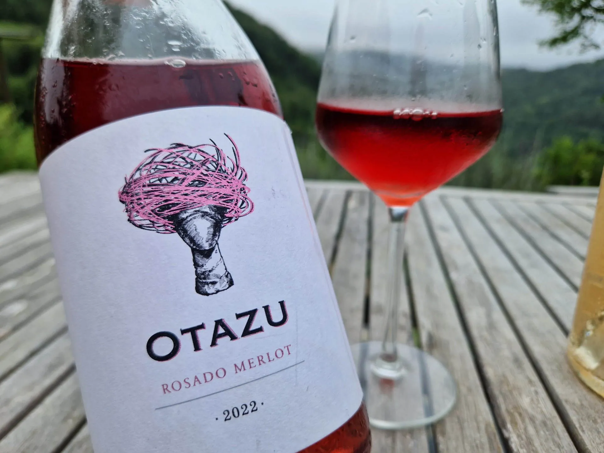 Eine Flasche Wein und ein halbvolles Glas