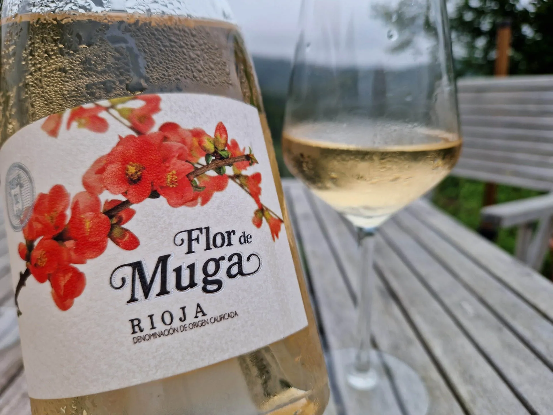 Eine Flasche Roséwein aus Rioja von Muga