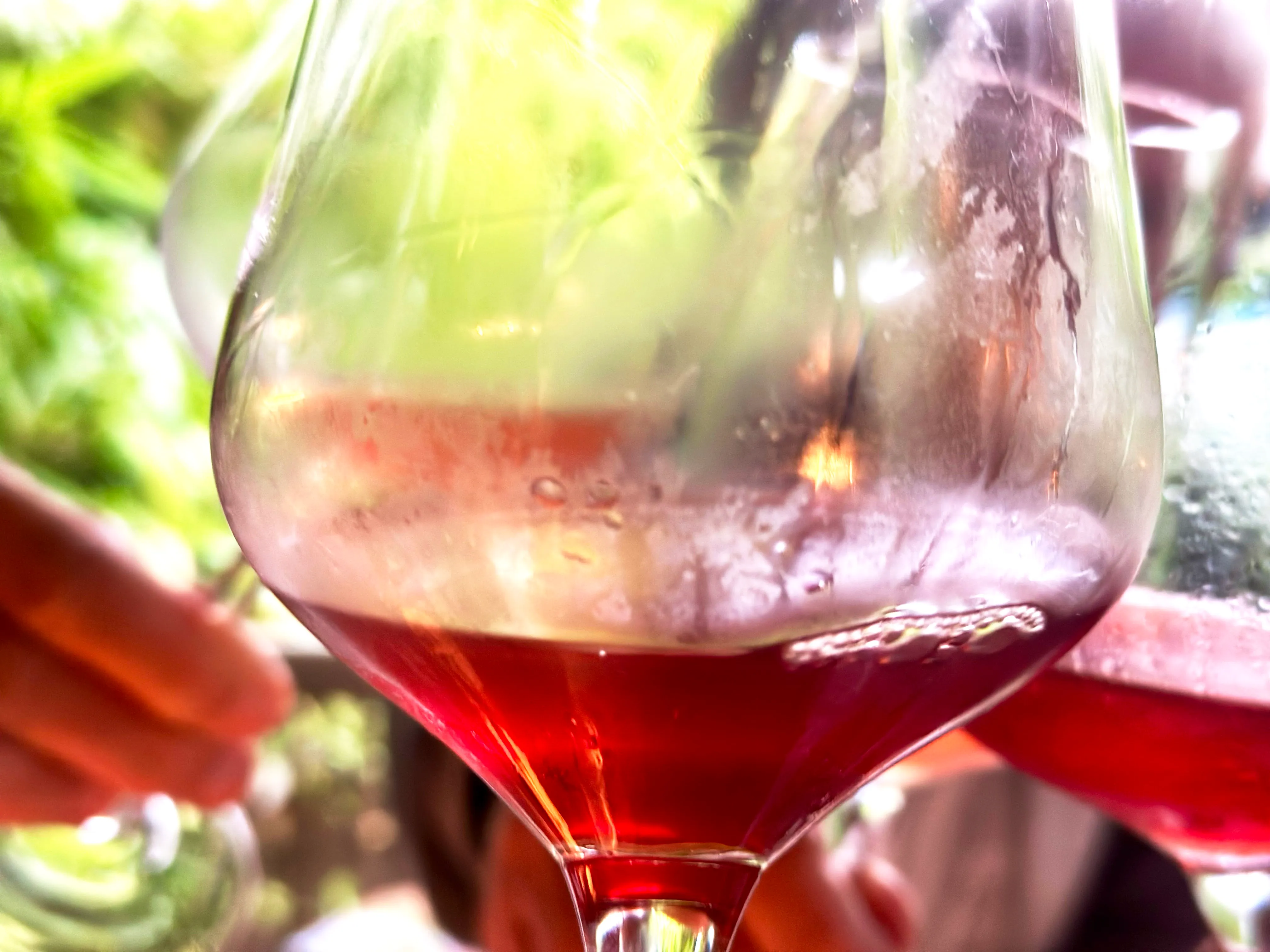 Freunde stossen mit Rosewein an