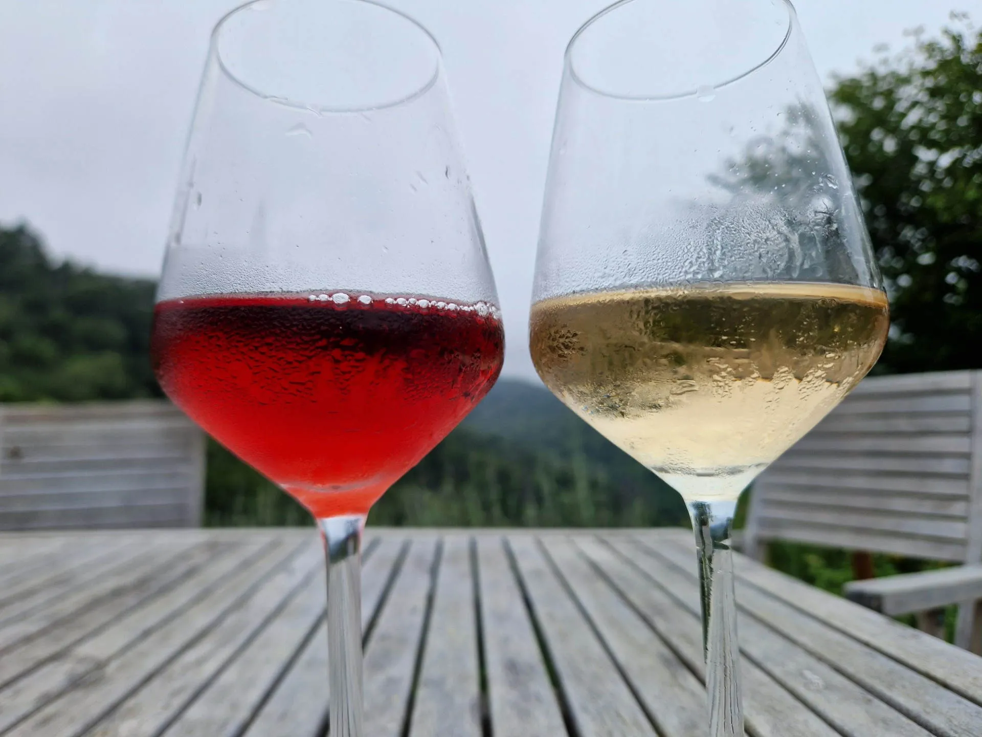 Zwei halbgefüllte Weingläser mit Rosé