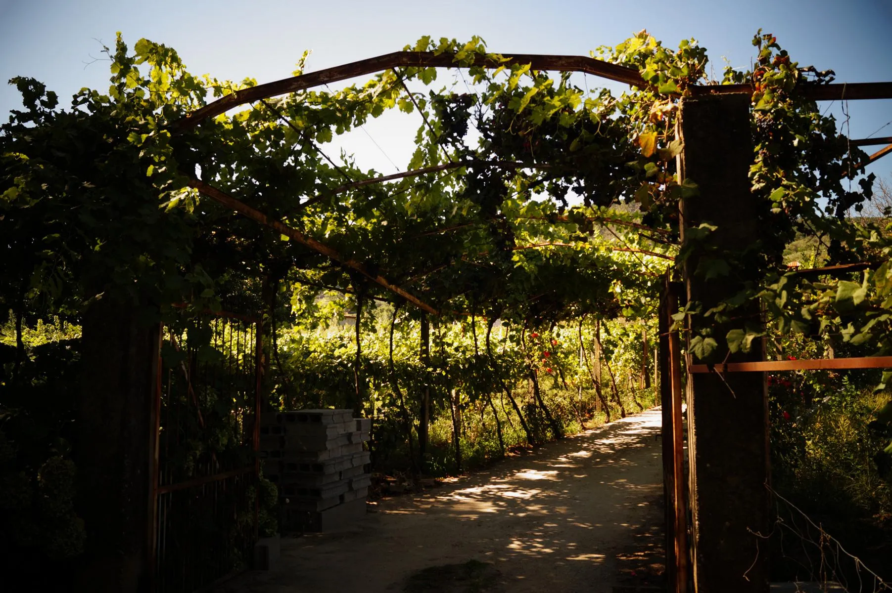 Eingang zu einem Weinberg in Ribadavia.