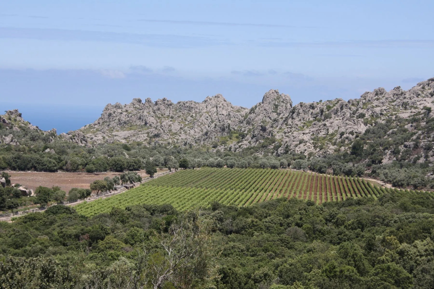 Tramuntana Moscatel