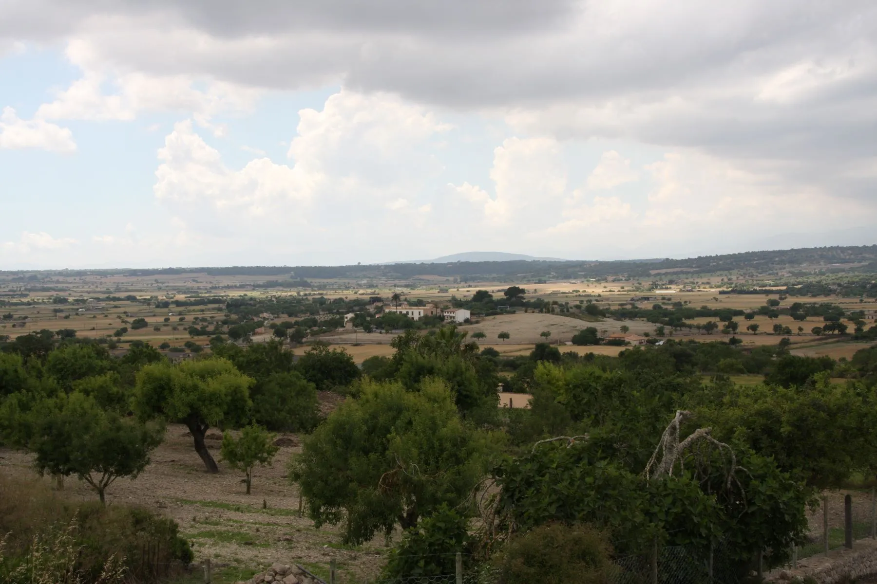 Mallorca Zentral flach