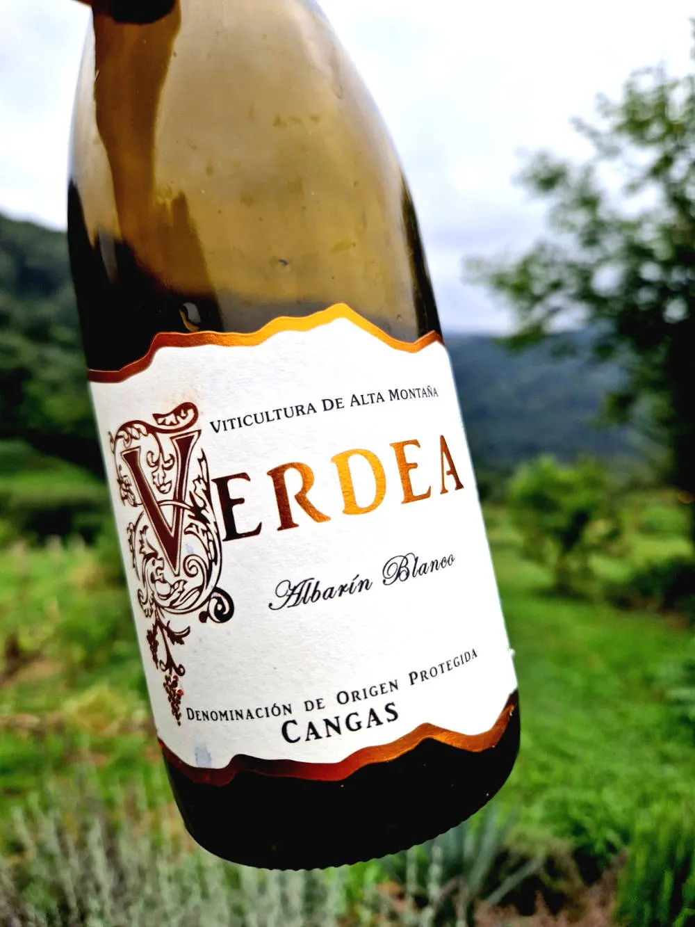 ein asturischer Wein vor einer Naturkulisse