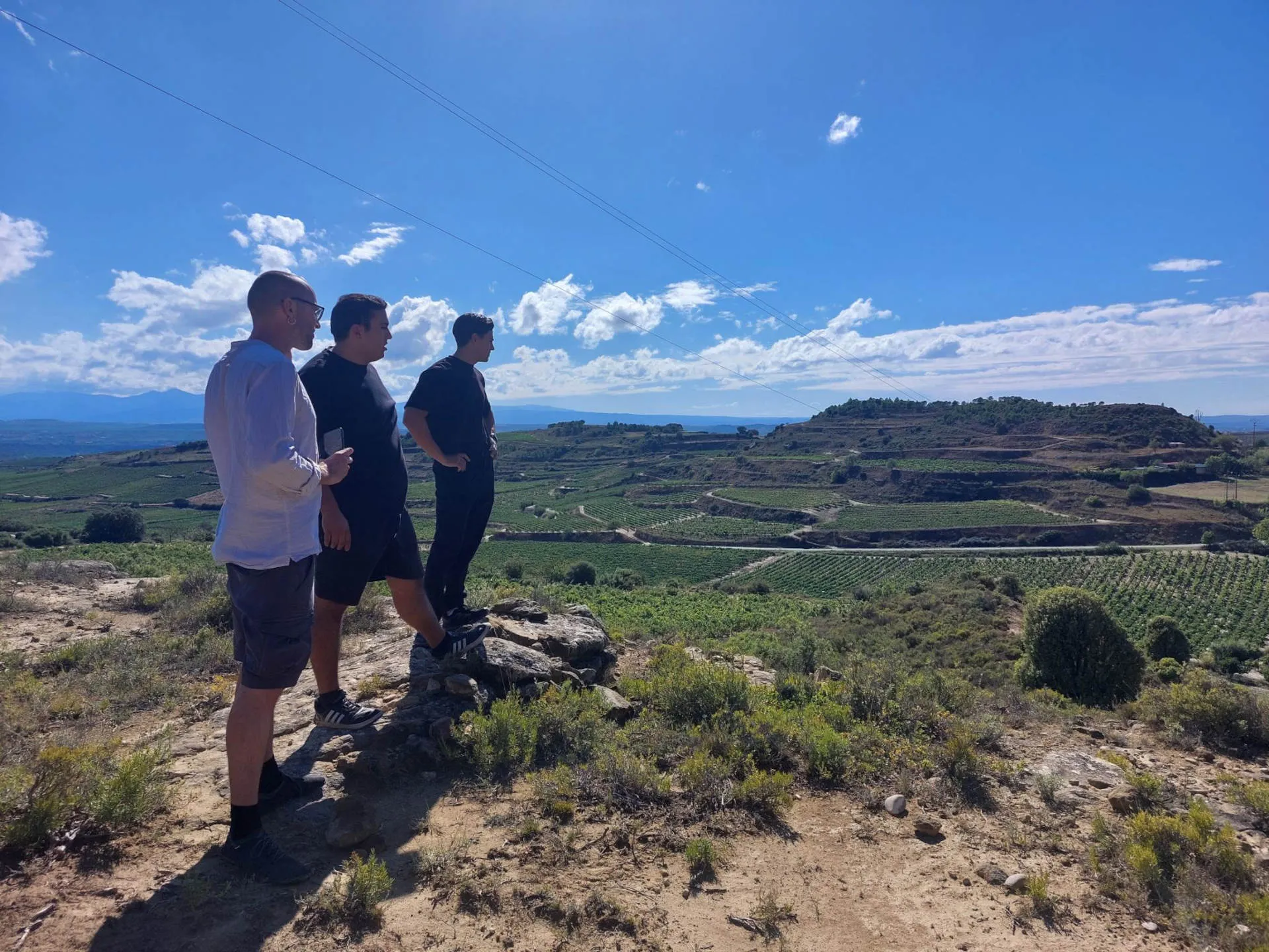 drei Personen auf einem Hügel, umgeben von Weinbergen