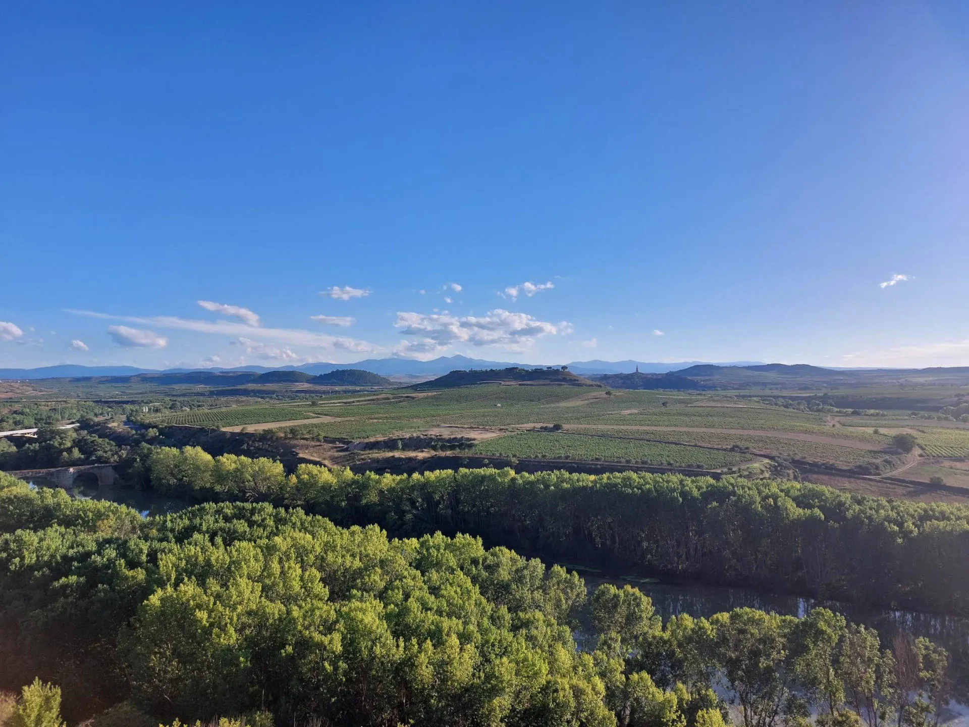 Blick auf eine Ebene mit vielen Weinbergen