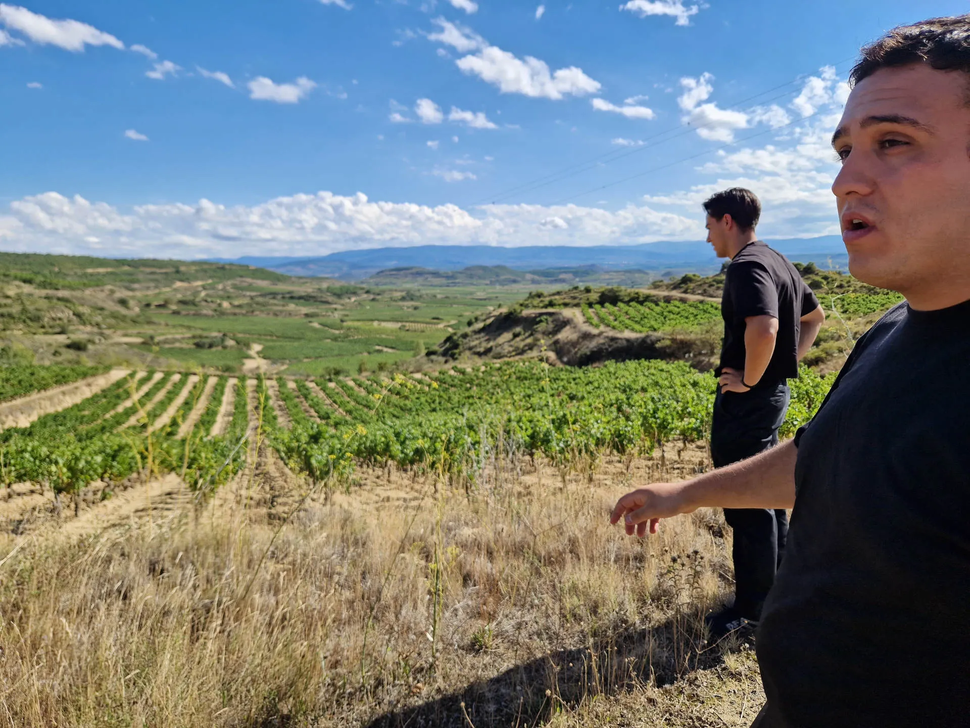 Zwei Personen in einem Weinberg