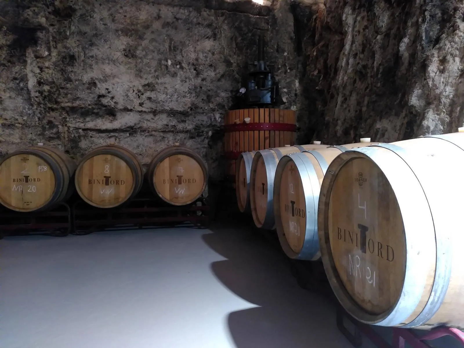 Weinkeller der Bodega Binitord.