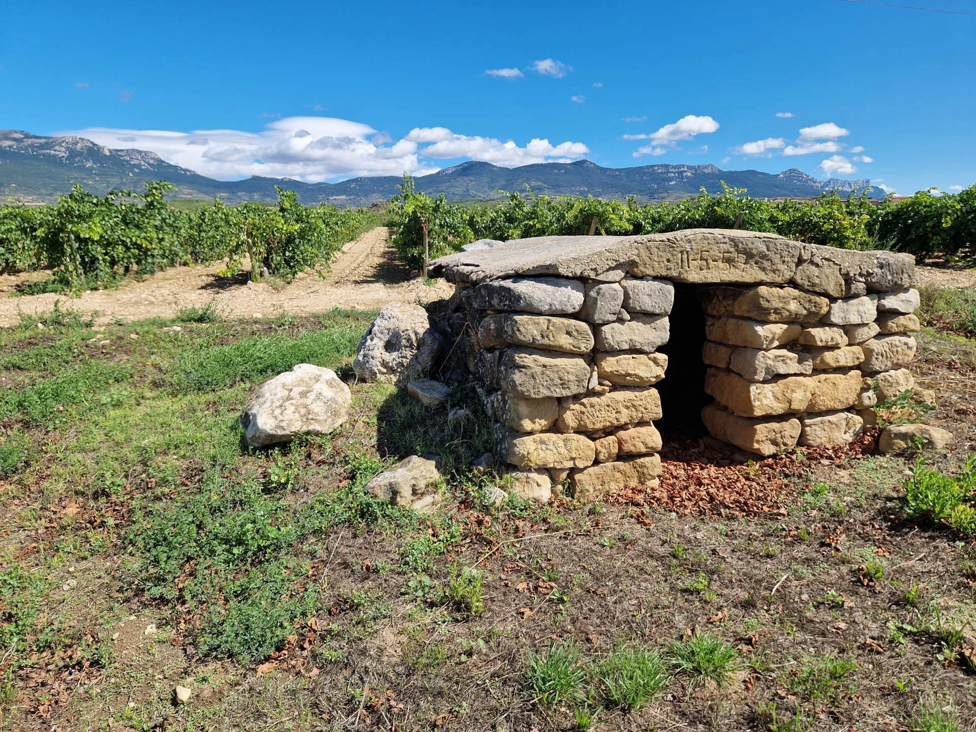 Weinberg mit Schutzhäuschen aus Stein