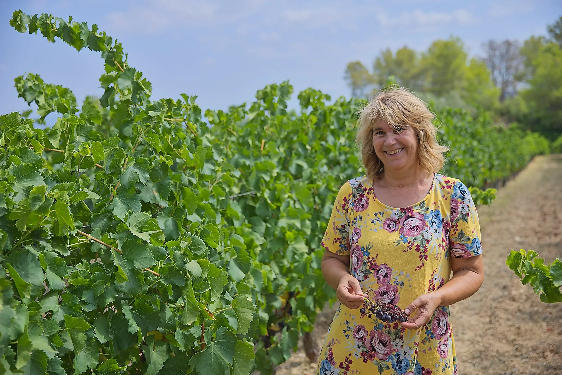 Frau steht neben Weinstöcken mit Trauben in der Hand