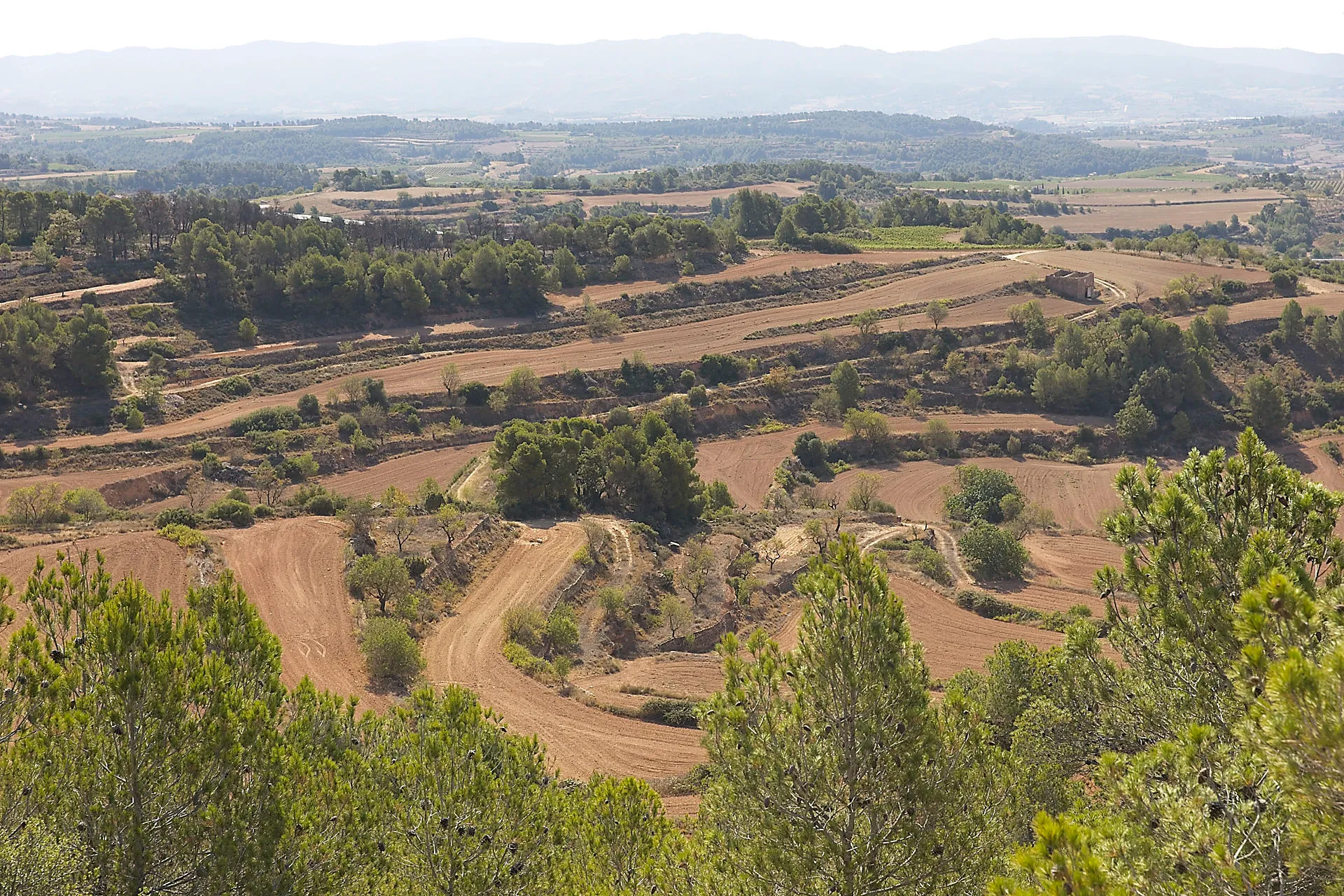 blick von oben auf eine Landschaft mit Feldern und Weinbergen