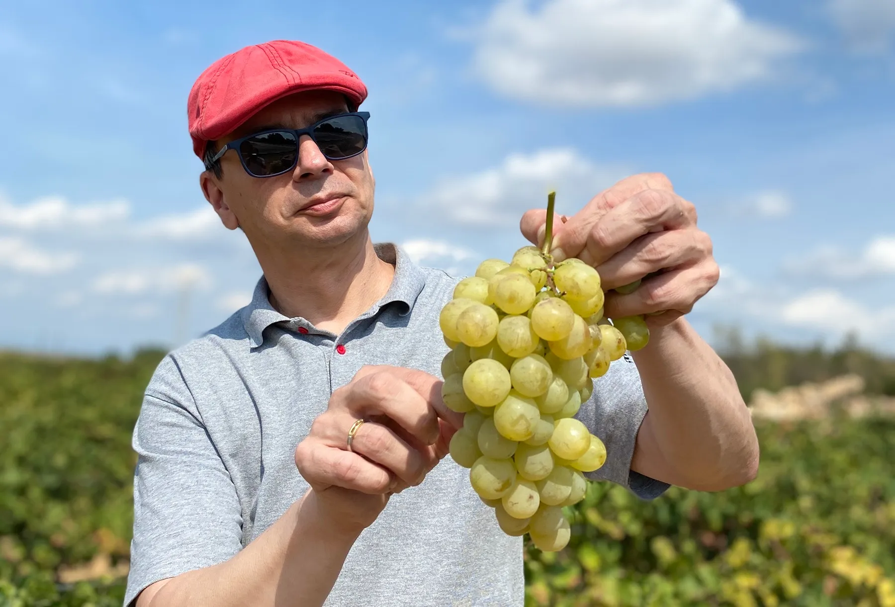 Ego mit weissen Trauben