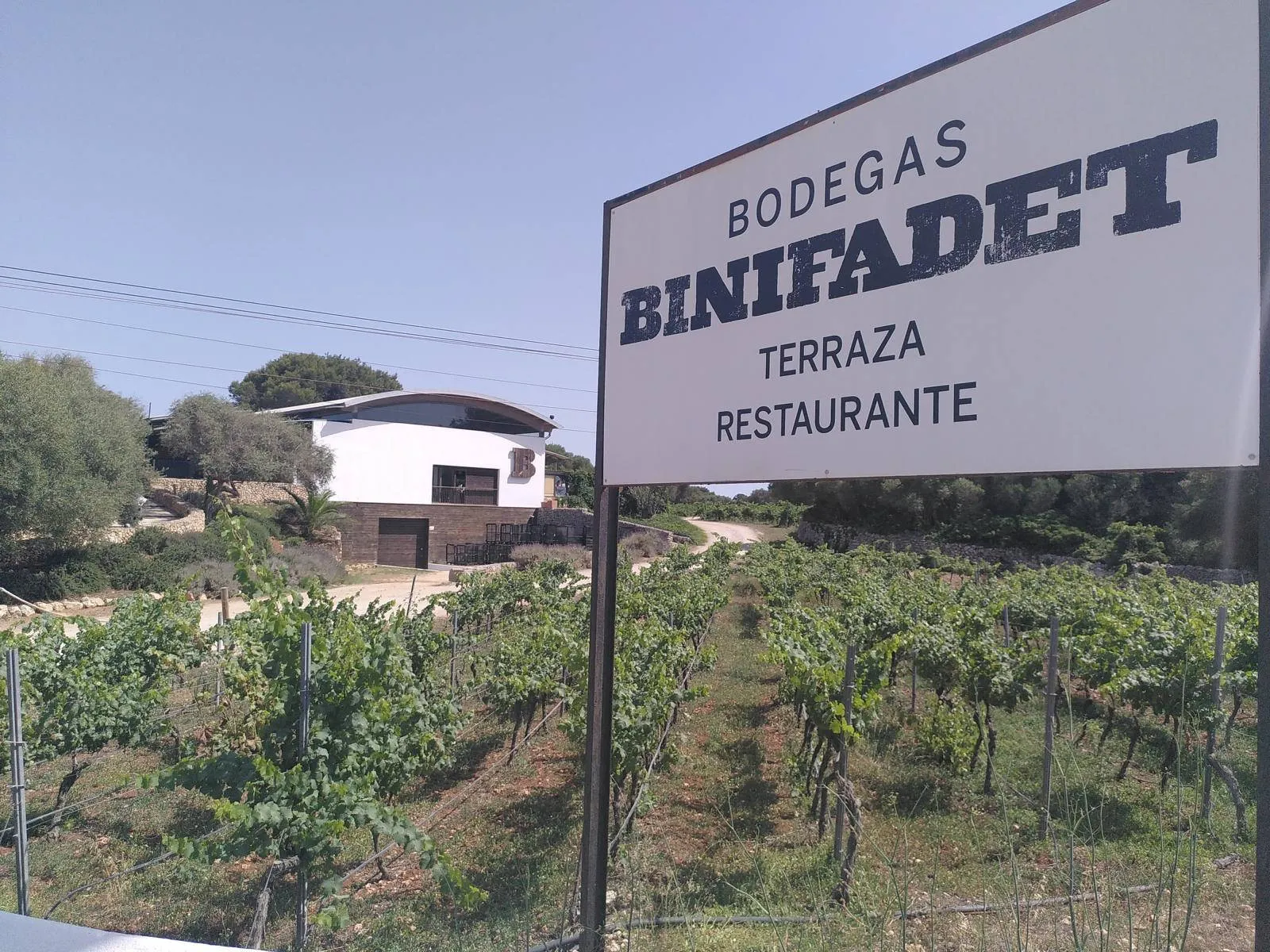 Bodega Binifadet Menorca