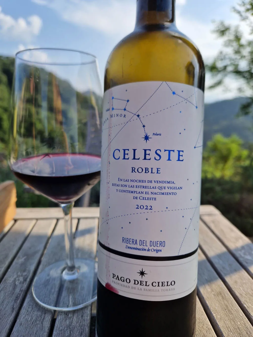 eine Flasche Rotwein auf einem Terrassentisch