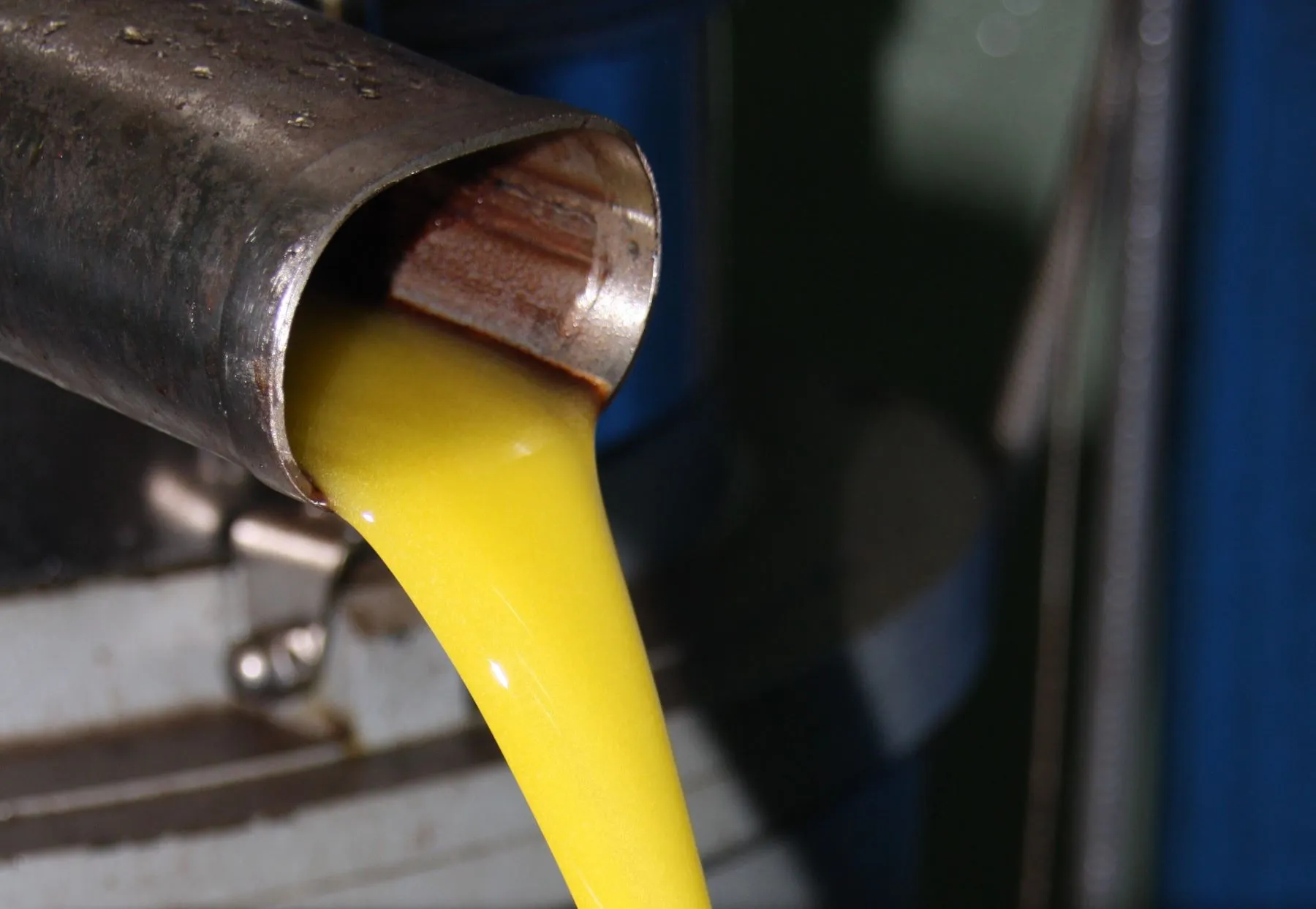 Olivenöl direkt aus der Pressung