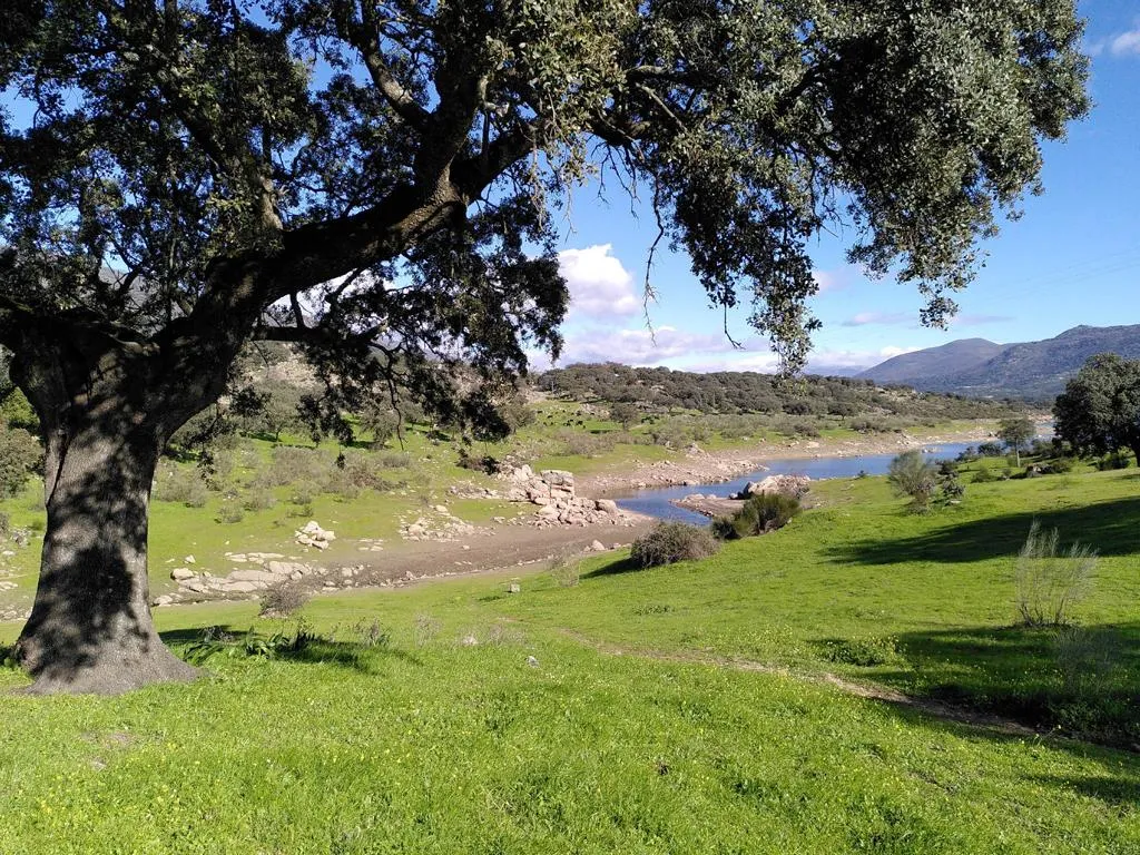 Landschaft in der Extremadura