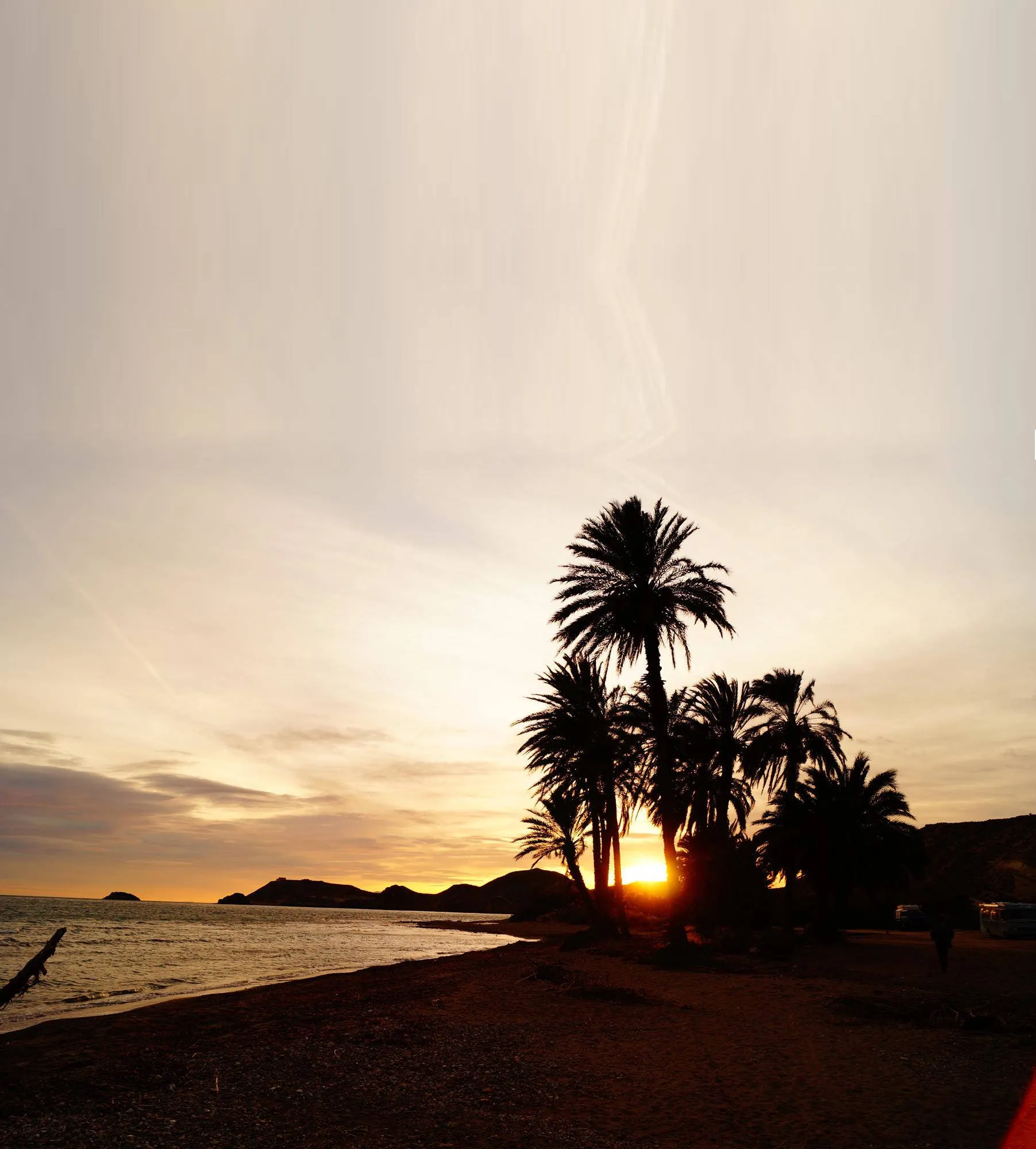 Strand mit Palmen in Murcia bei Sonnenuntergang
