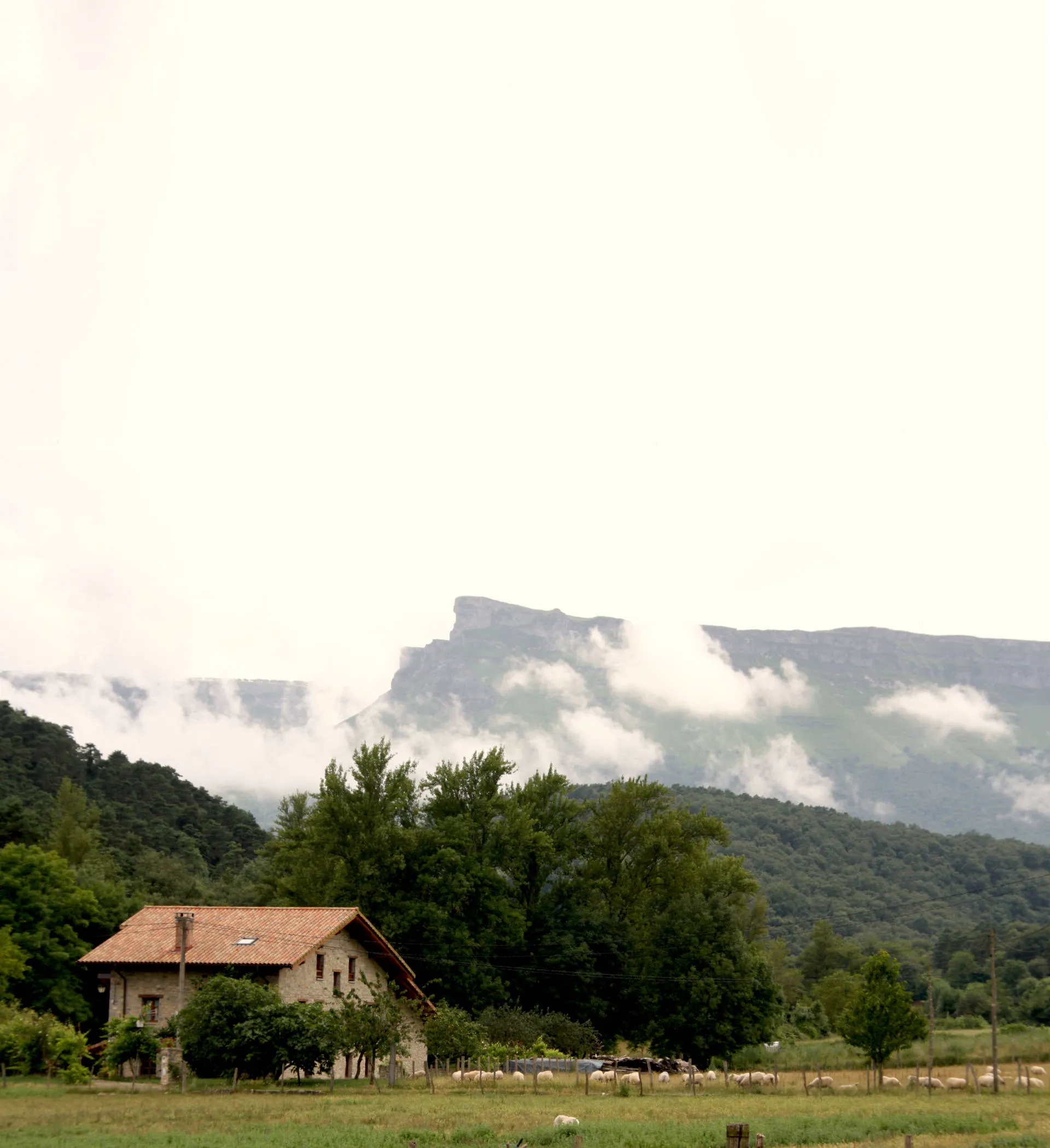 Nebelige Berge hinter einem baskischen Steinhäuschen, umgeben von Schafen