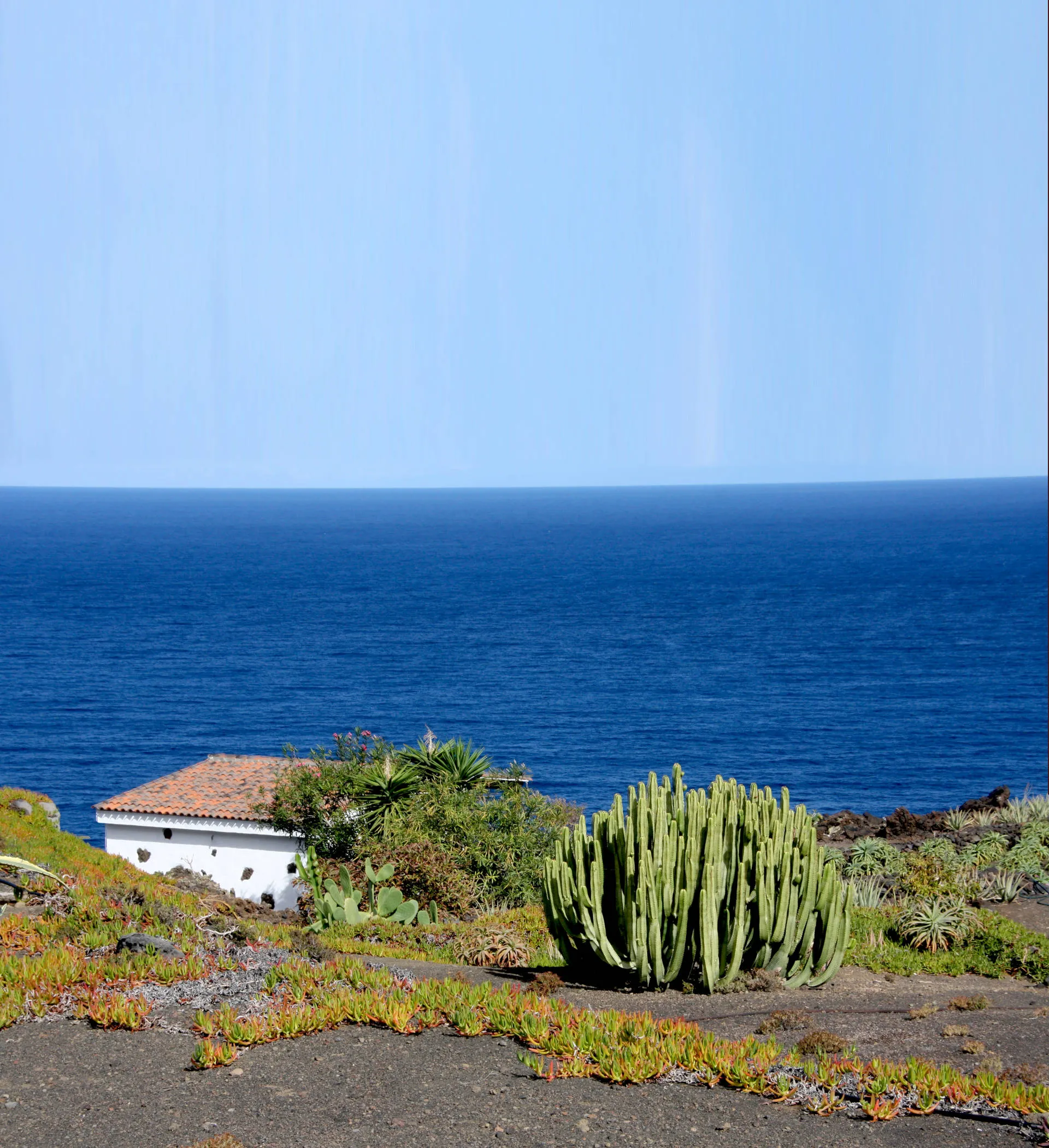 Blick auf das Meer von einer der Kanarischen Inseln, im Vordergrund ein großer Kaktus