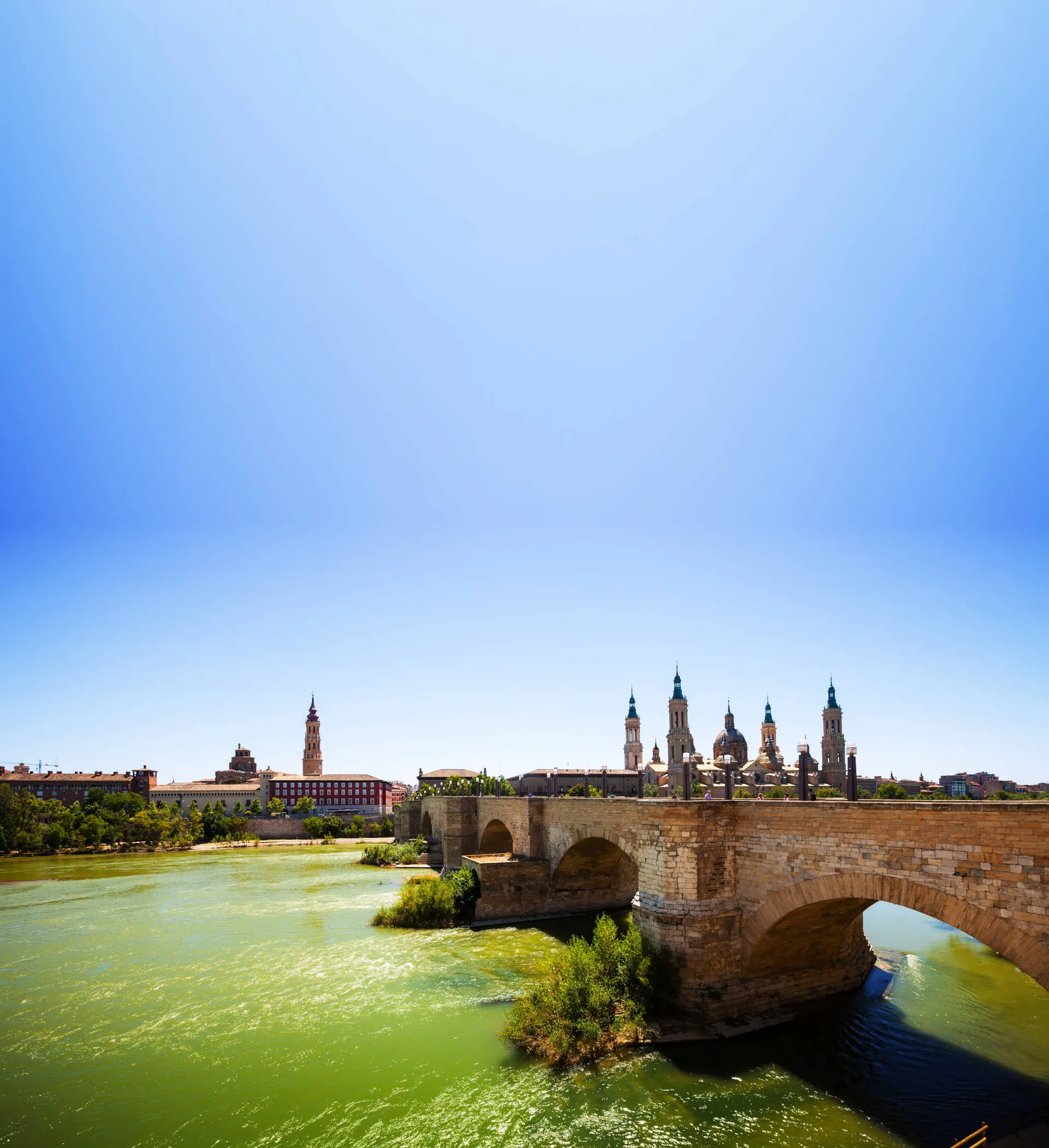 Blühende Mandelbäume in Aragonien