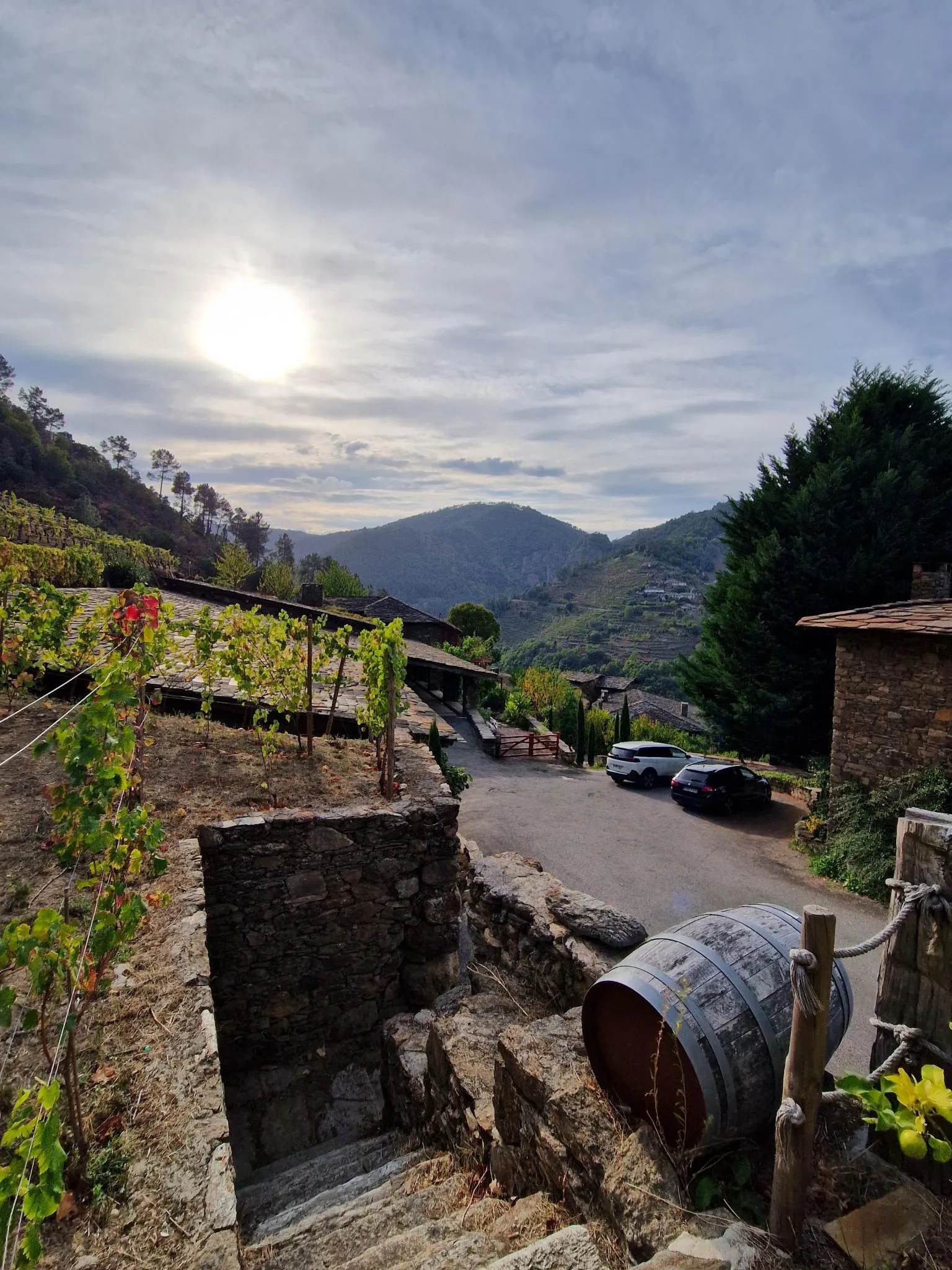 Ein Weinfass vor Weinbergen in Nordspanien