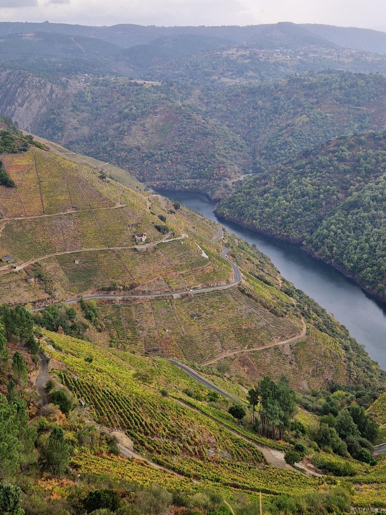 Weinberge in Nordspanien