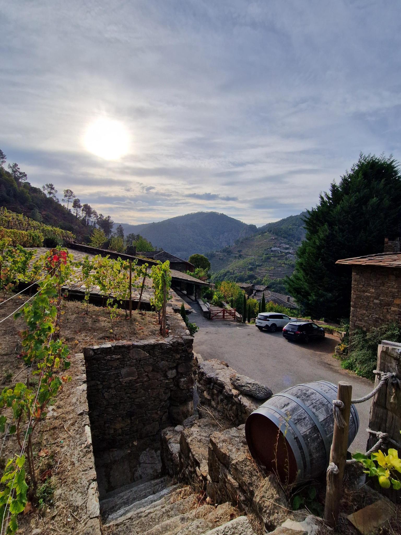 Ein Weinfass vor Weinbergen in Nordspanien